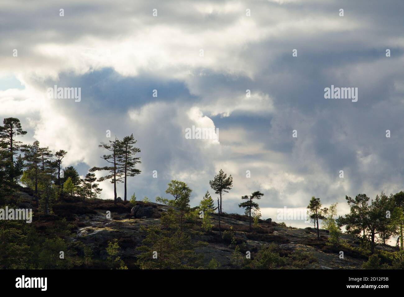 Nissedal hi-res stock photography and images - Alamy