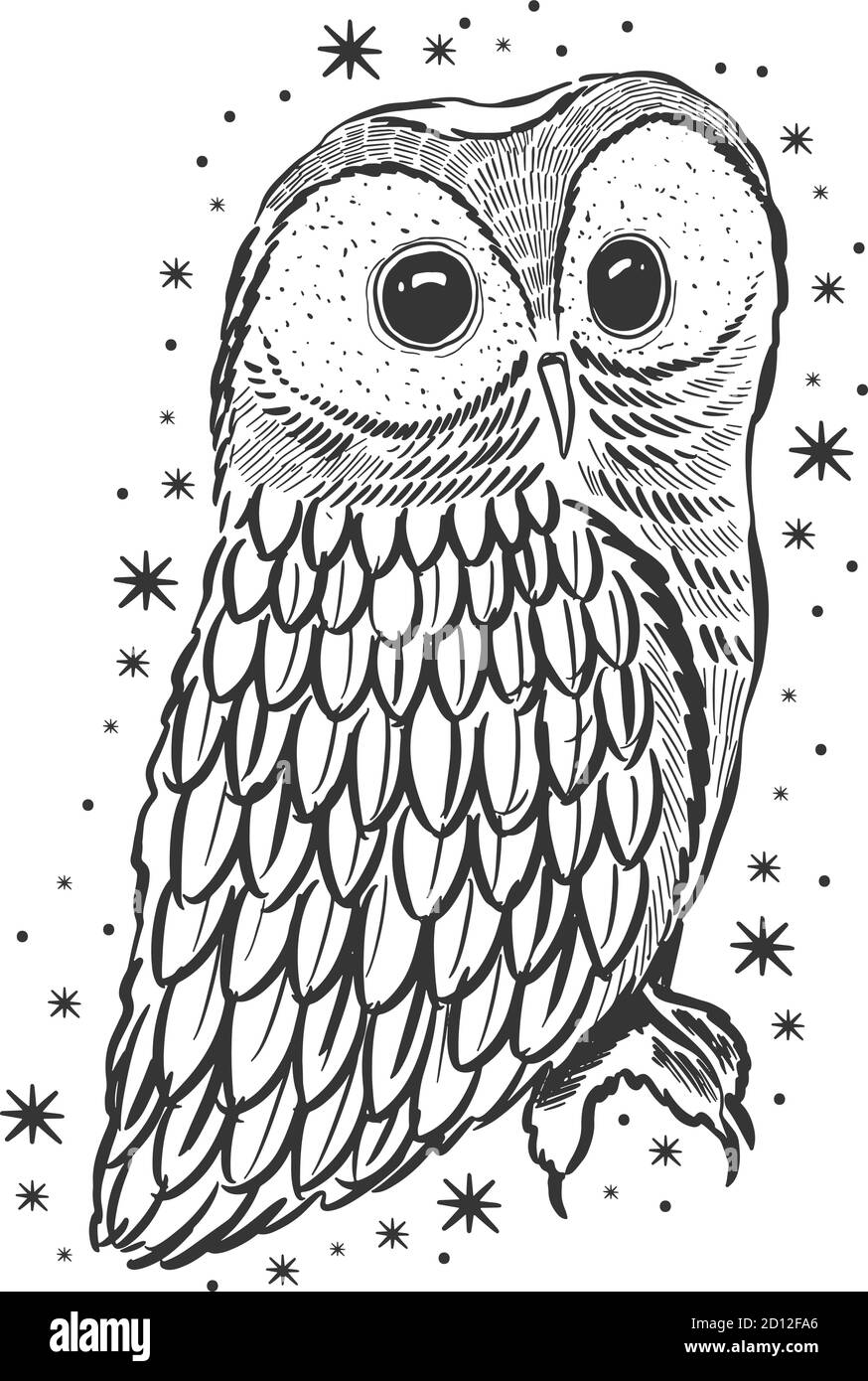 How to Draw an Owl | Nil Tech - shop.nil-tech