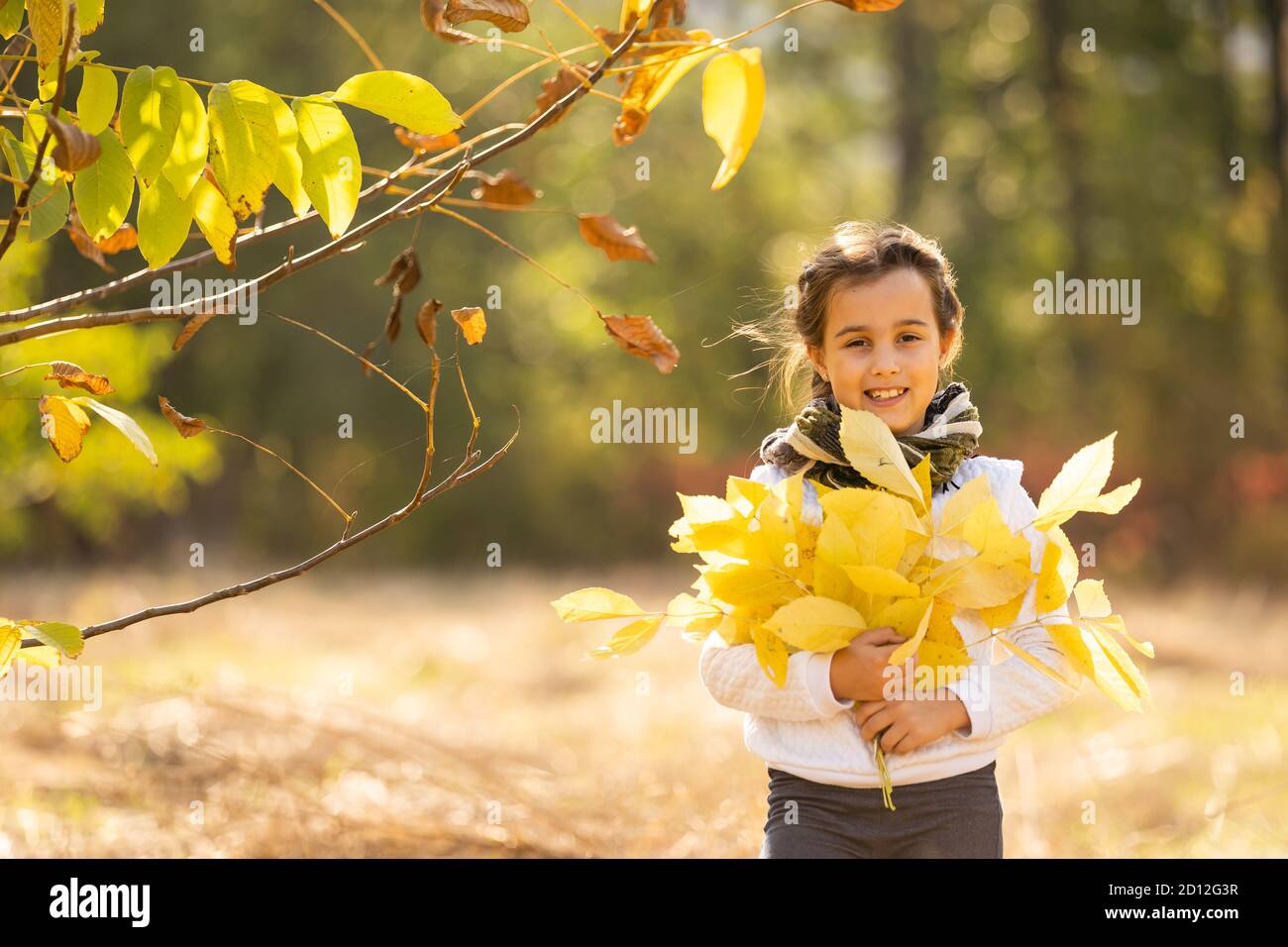 Happy autumn! Little sweet girl playing with leaves in an autumn park ...