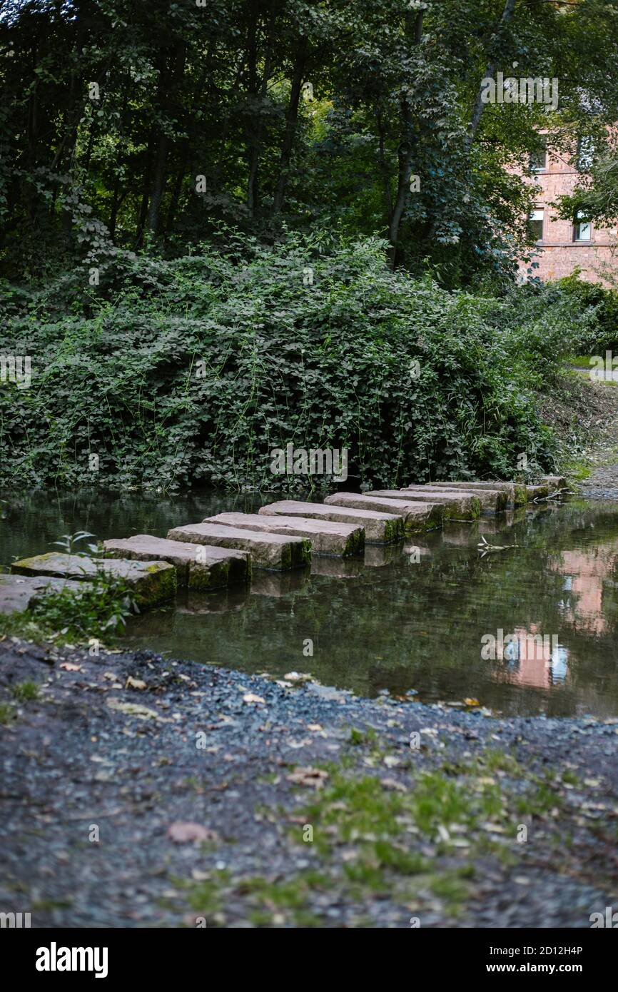 Stepping on stones and closeup hi-res stock photography and images - Alamy