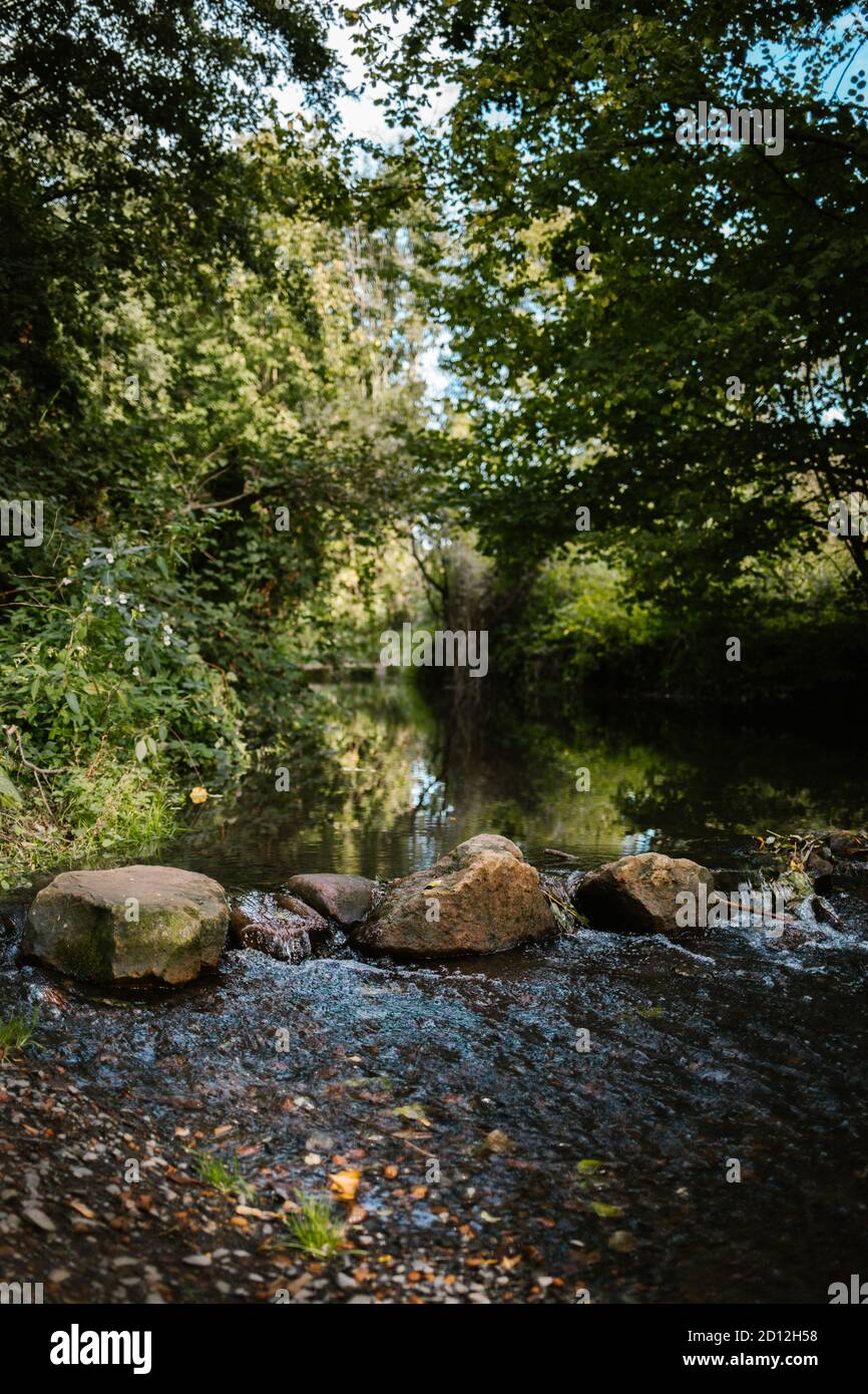 Stepping on stones and closeup hi-res stock photography and images - Alamy