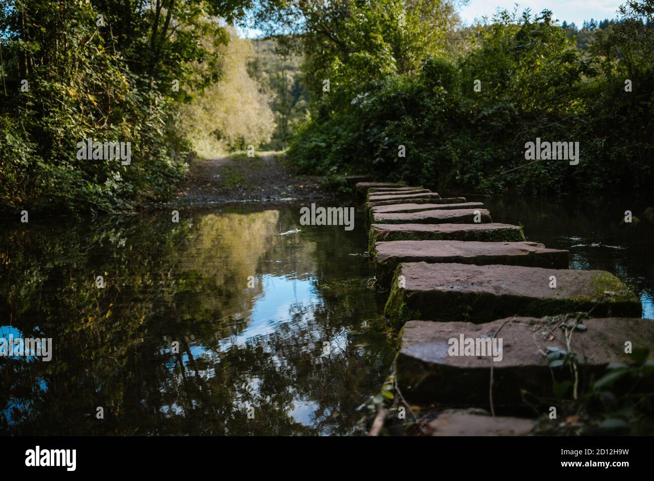 Stepping on stones and closeup hi-res stock photography and images - Alamy