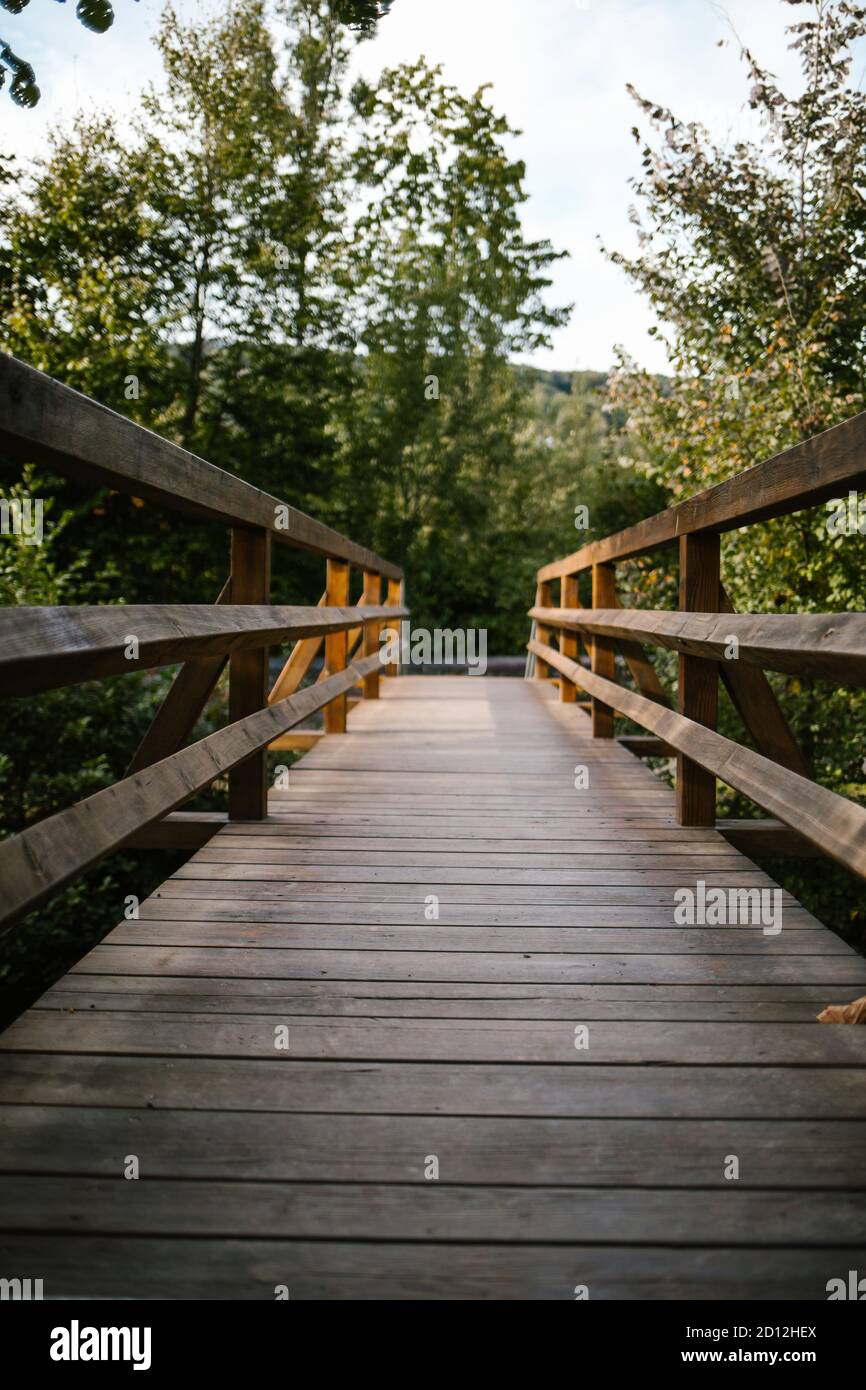 Vertical shot park path hi-res stock photography and images - Alamy