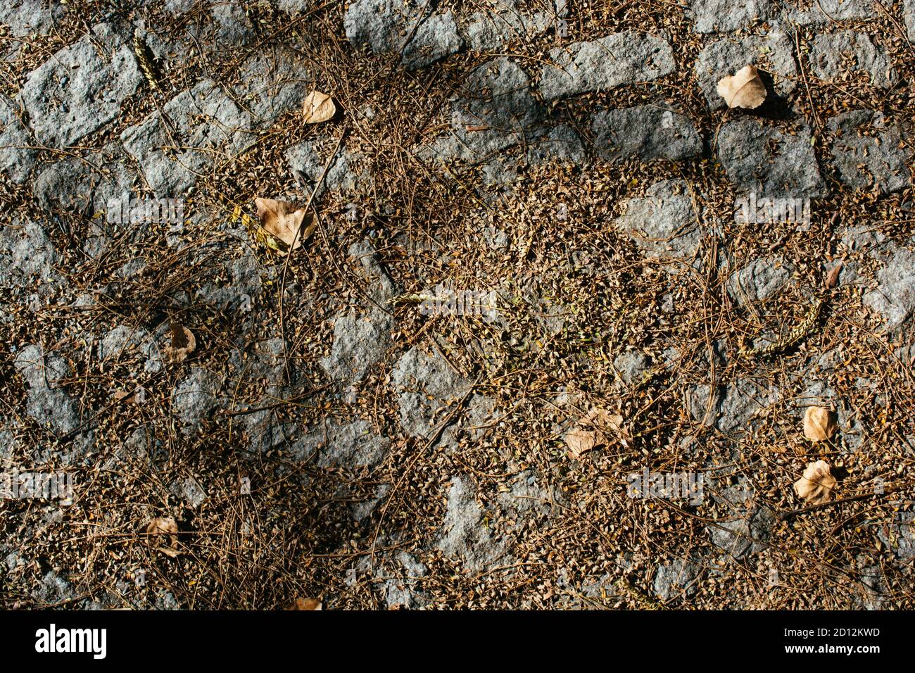 Beautiful dry leaves as an autumn background texture Stock Photo - Alamy