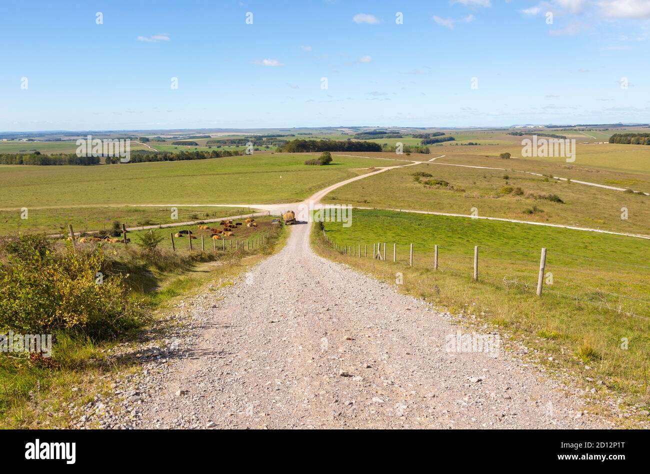 Unsurfaced track roads chalk upland landscape looking north-west, from Sidbury Hill, Salisbury Plain, Wiltshire, England, UK Stock Photo