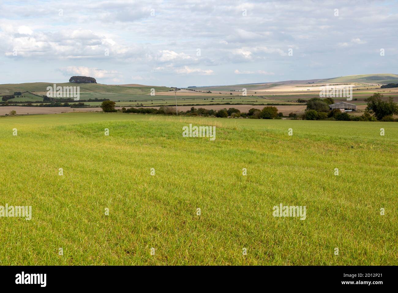 Remains of King's Play Hill neolithic Long Barrow in field near Heddington, England, UK chalk landscape North Wessex Downs AONB Stock Photo