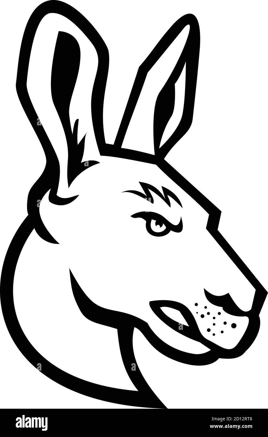 Mascot black and white illustration of head of an angry kangaroo, a