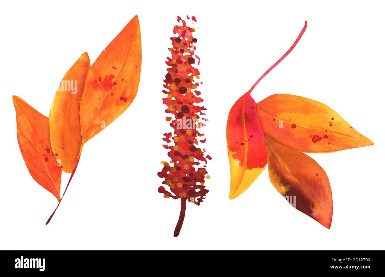 A set of watercolor autumn branches and leaves, isolated on a white ...