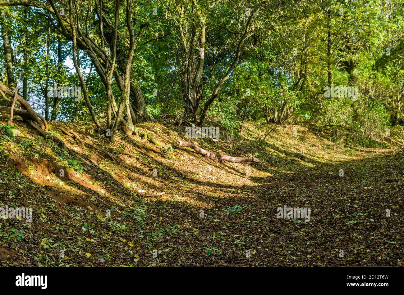 Earthworks and remains of a multivallate Iron Age hillfort, Hunsbury Hill, Northampton, UK Stock Photo
