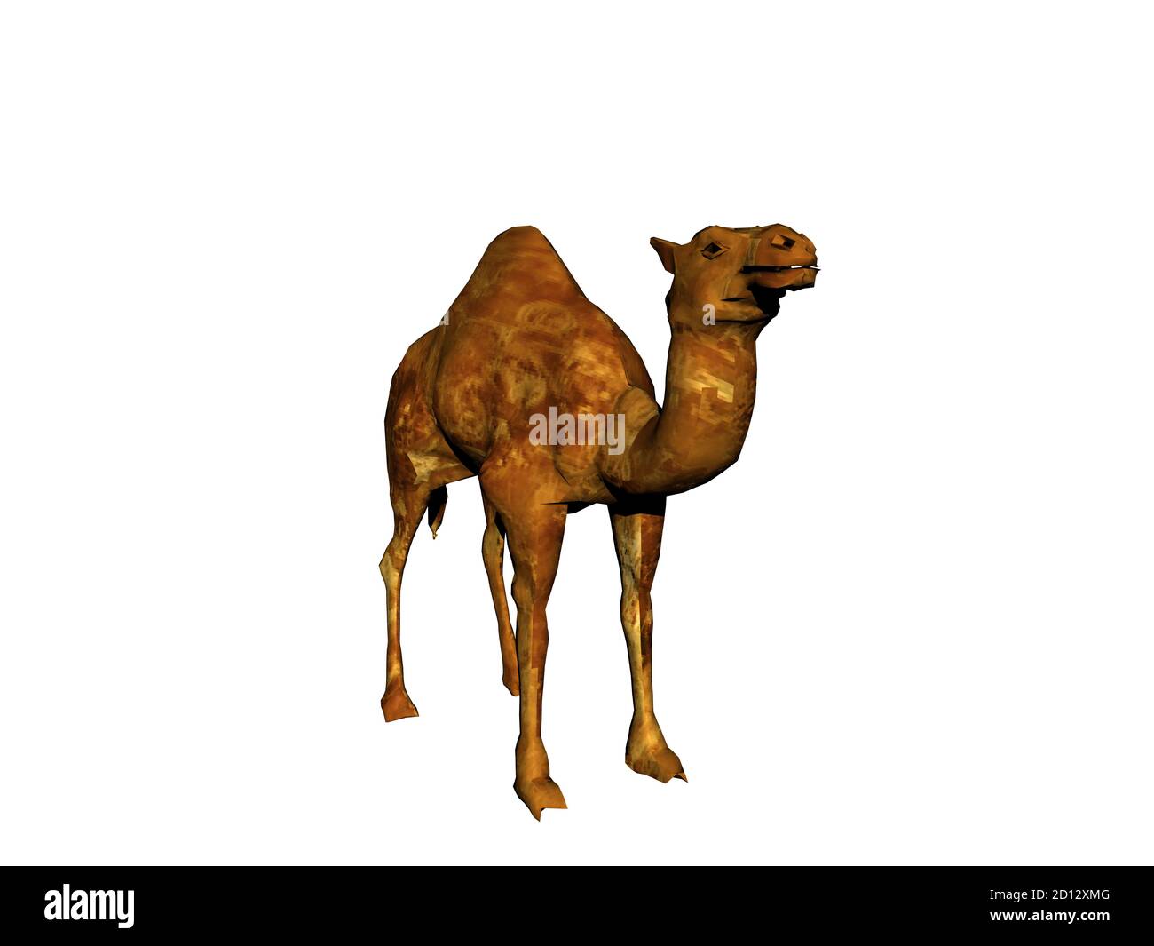 Camel in the desert Stock Photo Alamy