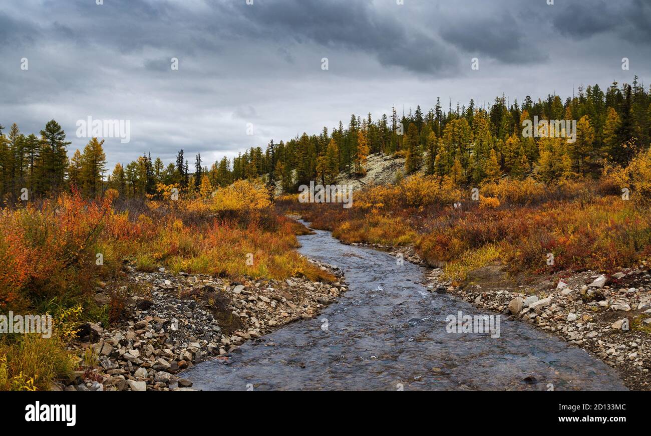 Autumn landscape with gloomy sky in the south of Yakutia, Russia. Stock Photo