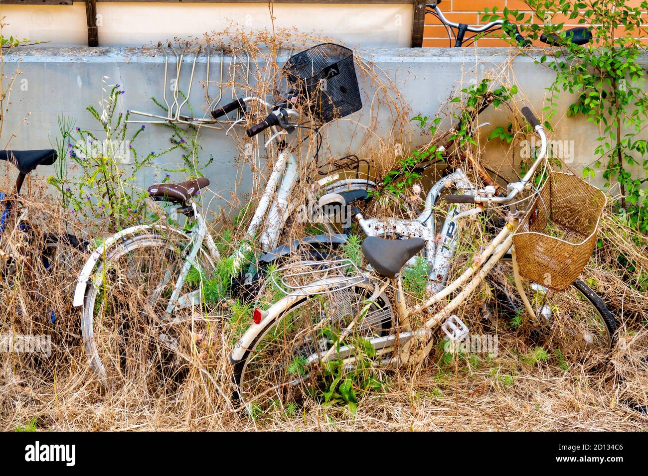 Abandoned bicyles leaning on a ruined building, Rome, Italy Stock Photo