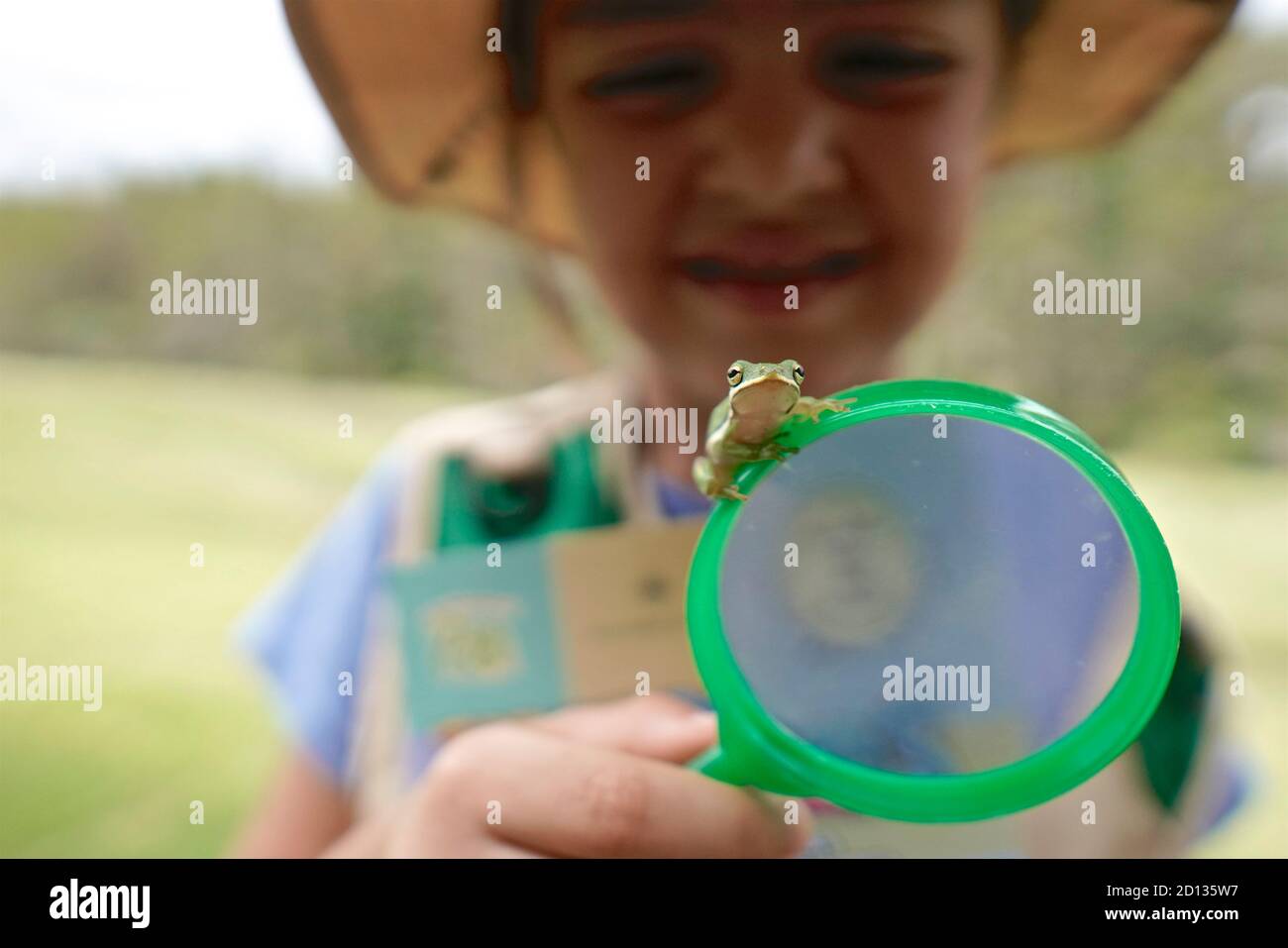 Girl looking closely at a frog Stock Photo