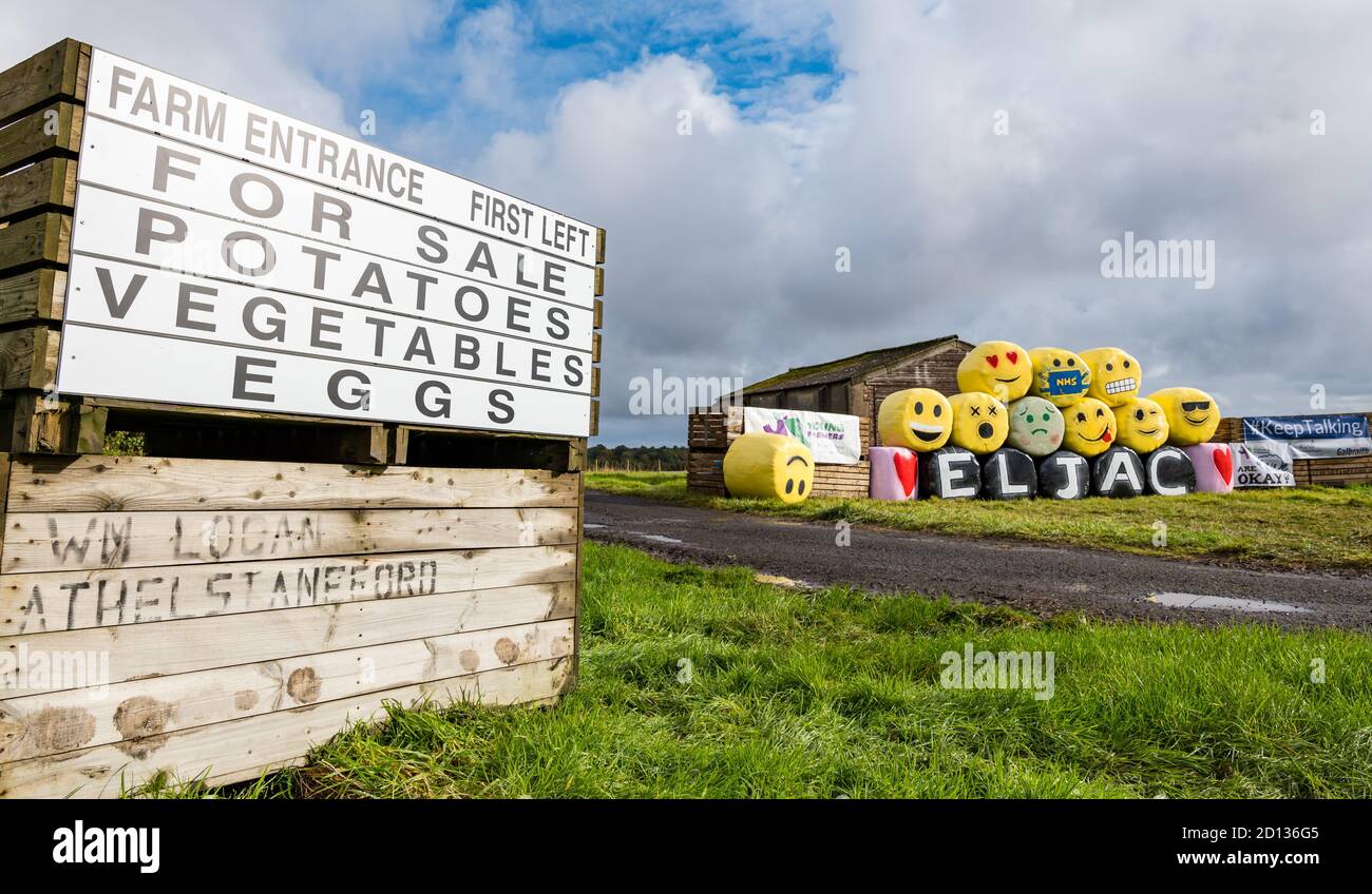 Athelstaneford Mains Farm, East Lothian, Scotland, United Kingdom, 5th October 2020. Bale Art 2020: East Lothian Junior Agricultural Club's colourful bale art in support of charity RSABI, which supports people from Scottish agriculture emotionally, practically and financially. The yellow bale material was also bought in support of a children's cancer research charity. The theme this year is #keeptalking and each bale has a different facial expression Stock Photo