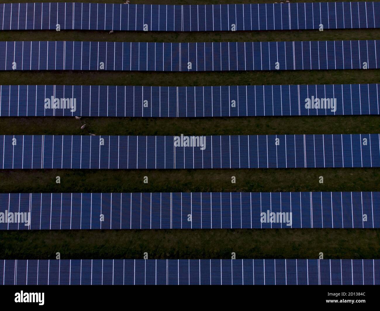 Field of solar panels seen from above Stock Photo - Alamy