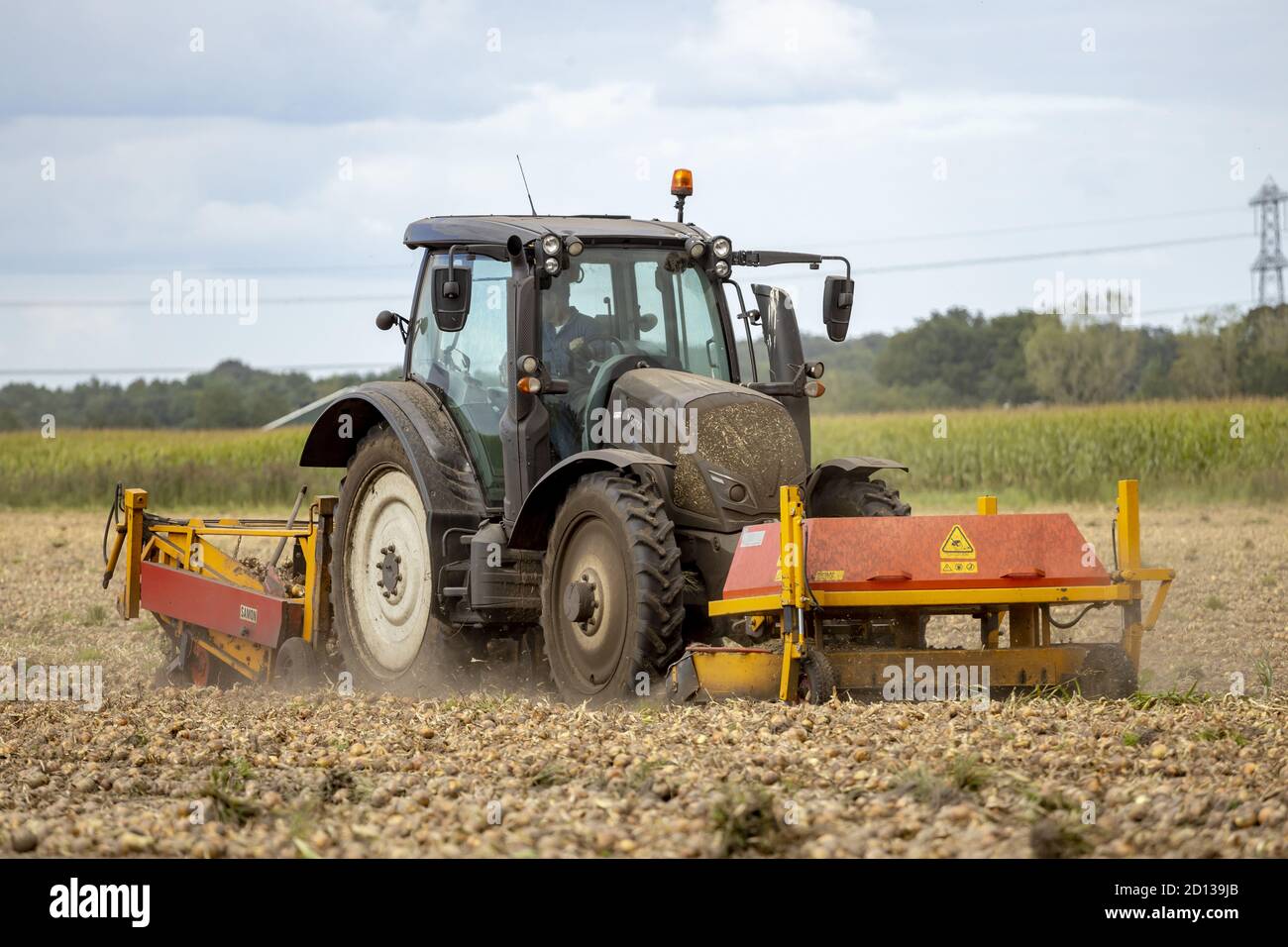 Tractor grubbing onion field Stock Photo