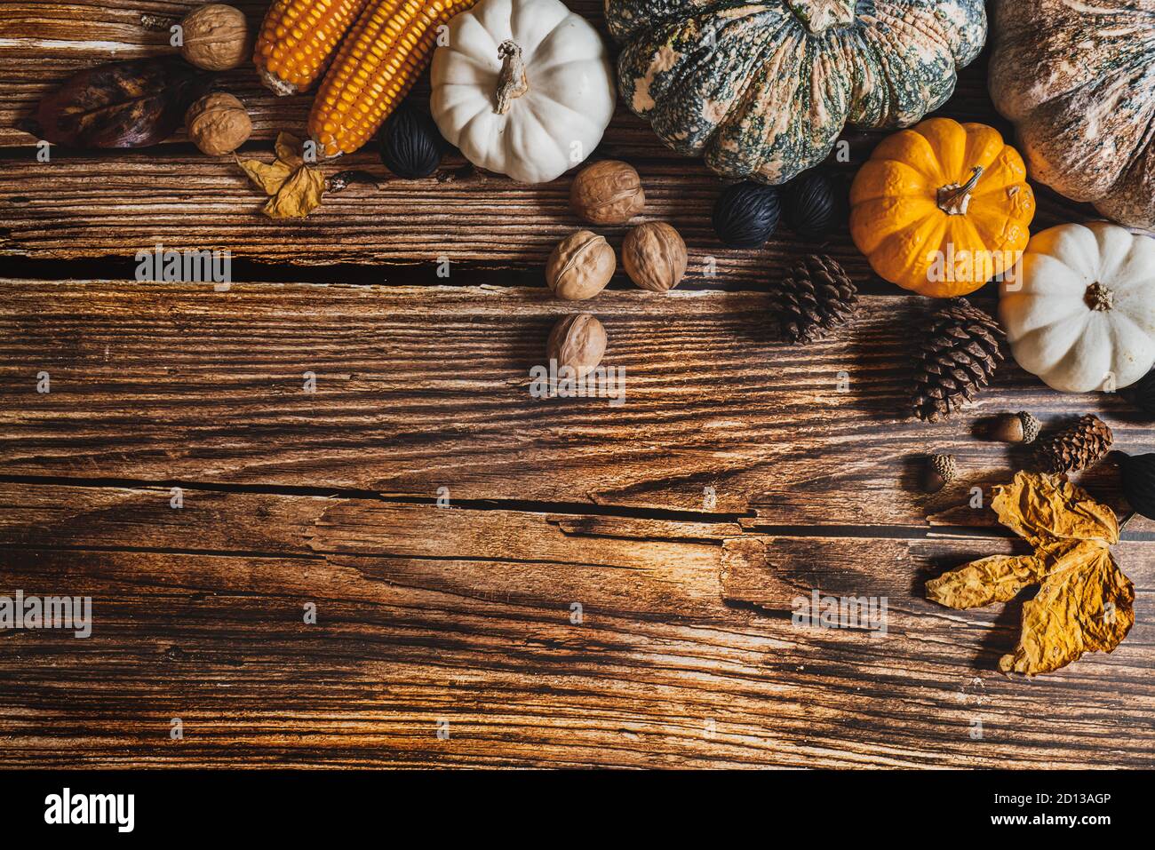 Happy Thanksgiving Day with pumpkin and nut on wooden table Stock Photo ...