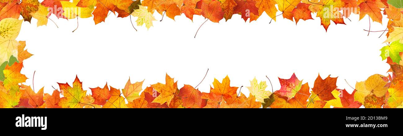 frame from colored autumn leaves isolated on white background Stock ...