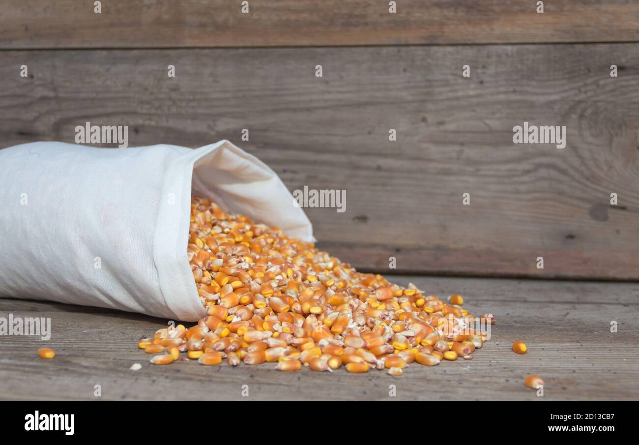 Alfalfa and corn hires stock photography and images Alamy