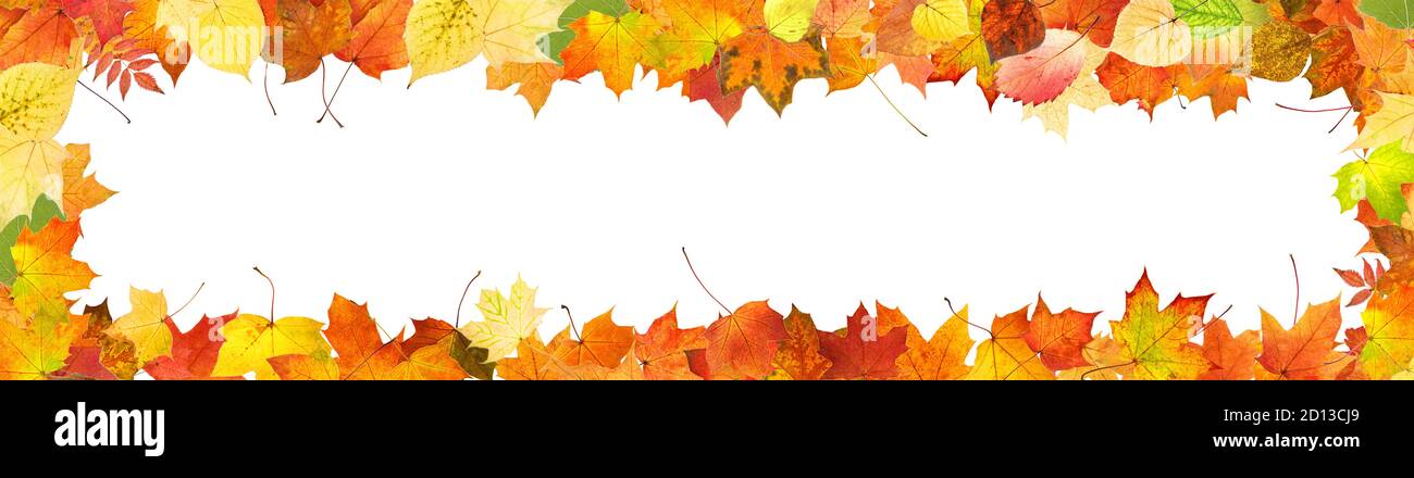 frame from colored autumn leaves isolated on white background Stock ...