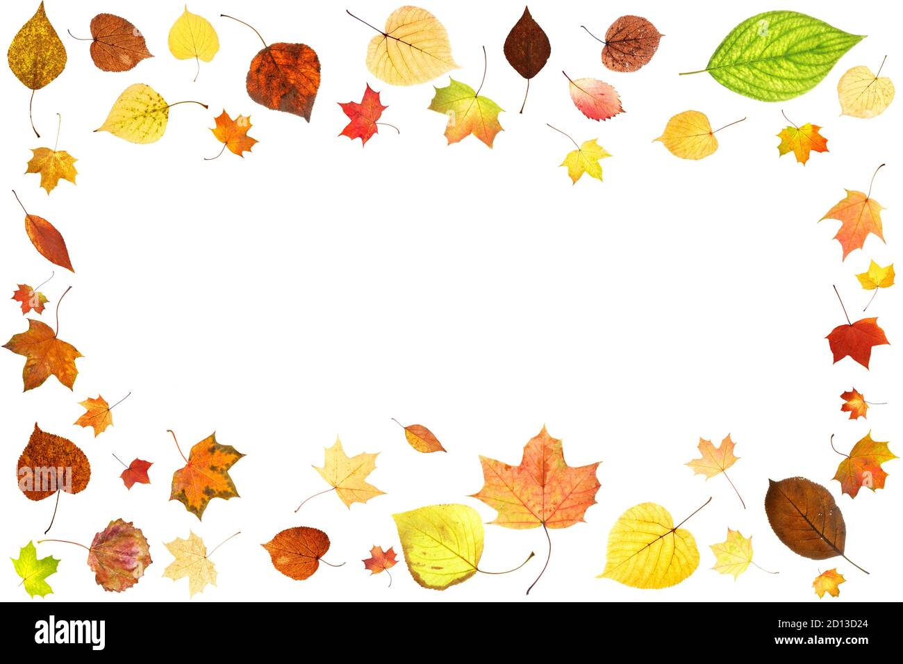 frame from colored autumn leaves isolated on white background Stock ...