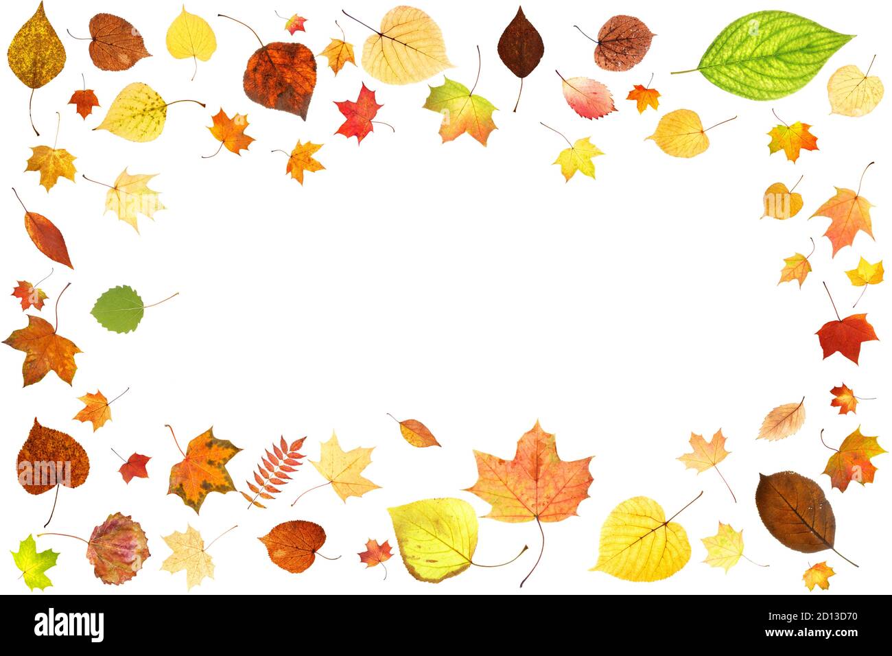 frame from colored autumn leaves isolated on white background Stock ...
