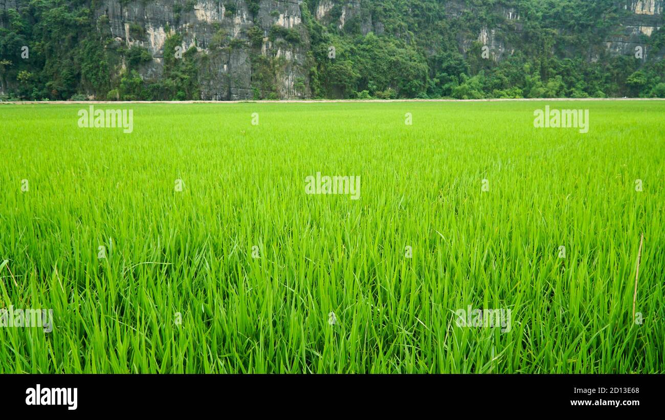Vietnam adventure tours hi-res stock photography and images - Alamy