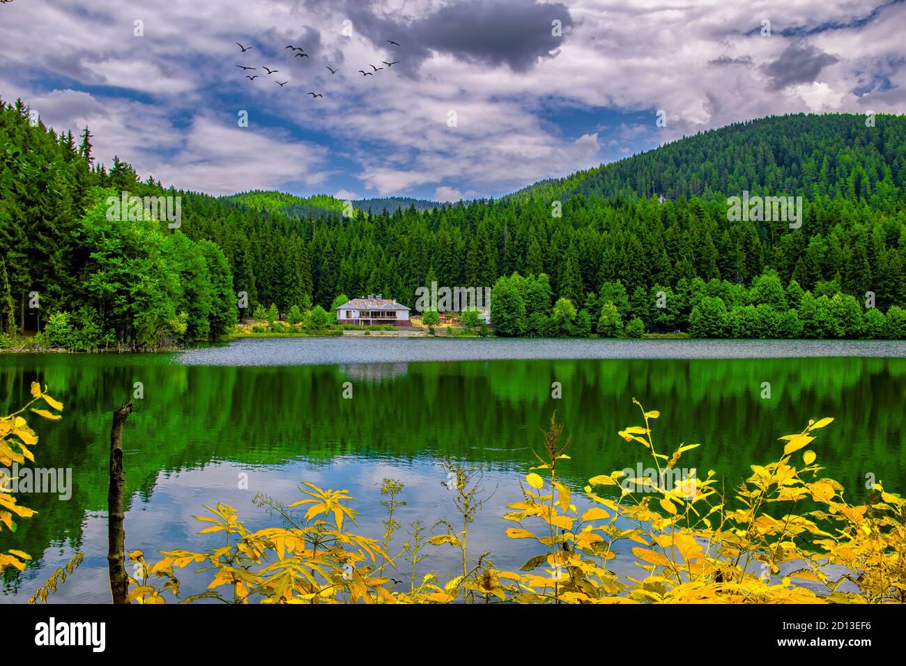 Colorful spring and forested landscape seen from Karagöl in Şavşat Artvin Stock Photo