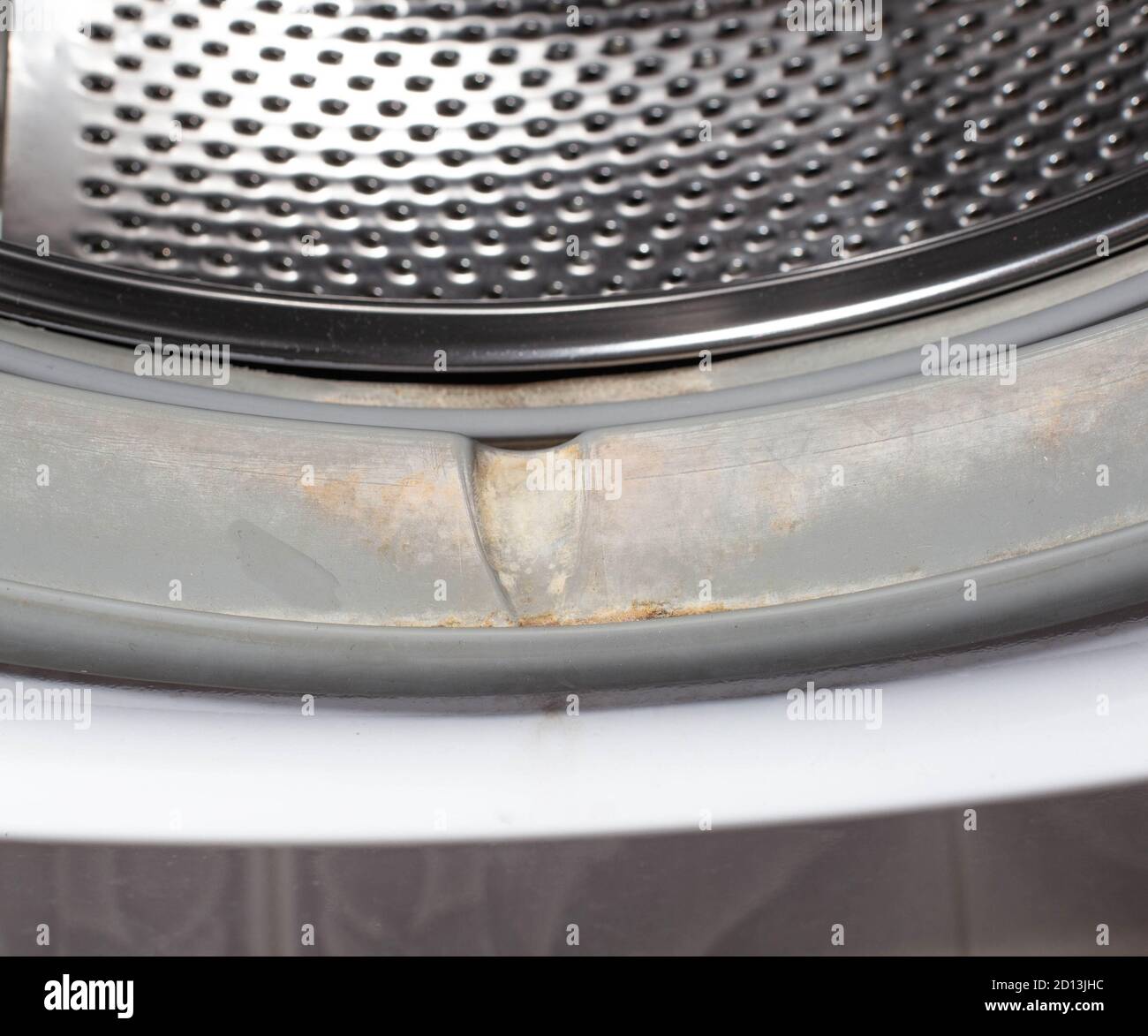 Dirt and fungus from moisture on the sealing gum of the washing machine