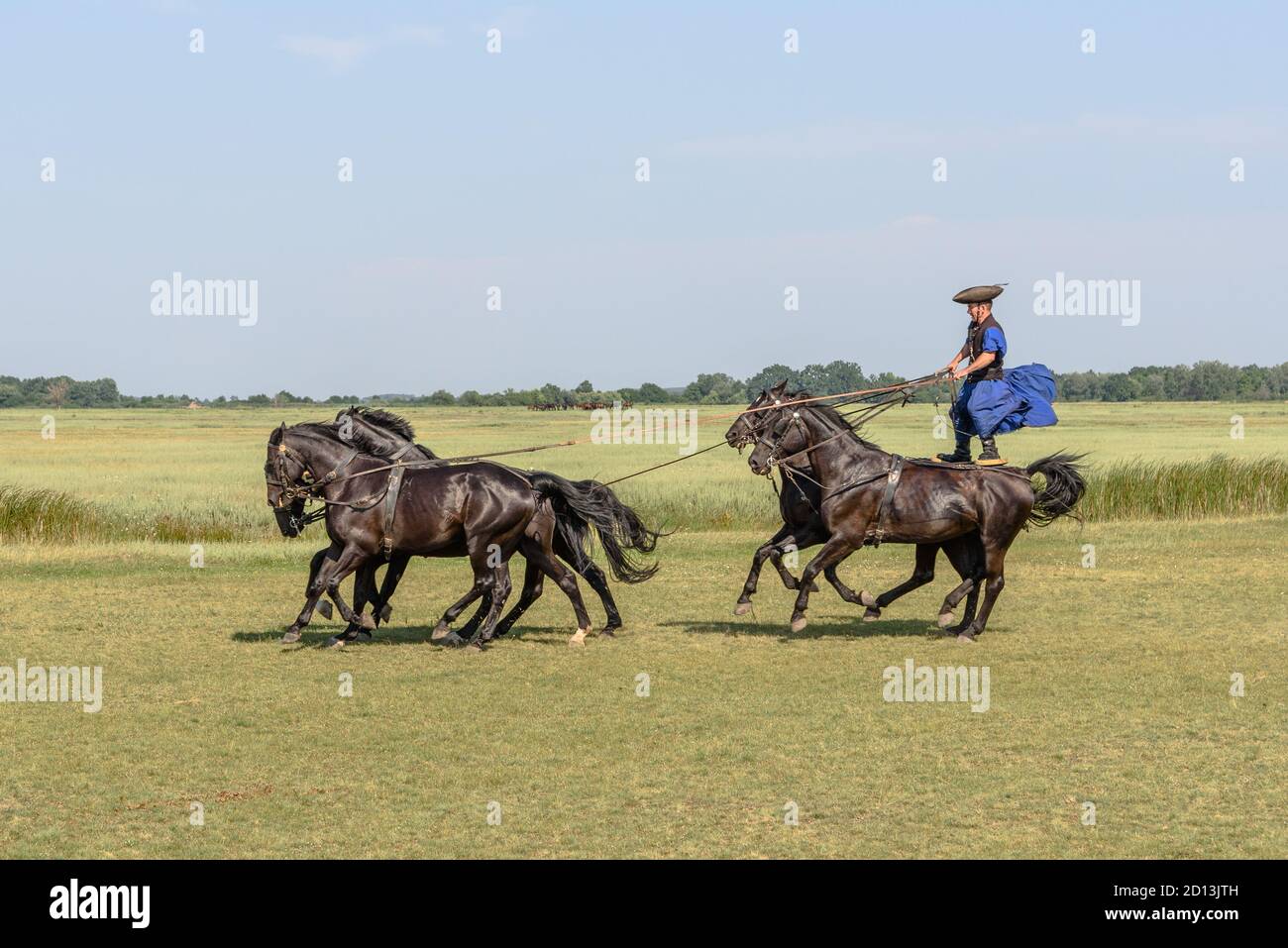A Hungarian csikos /  cowboy riding horses in the Hortobagy National Park by standing on the back two Stock Photo