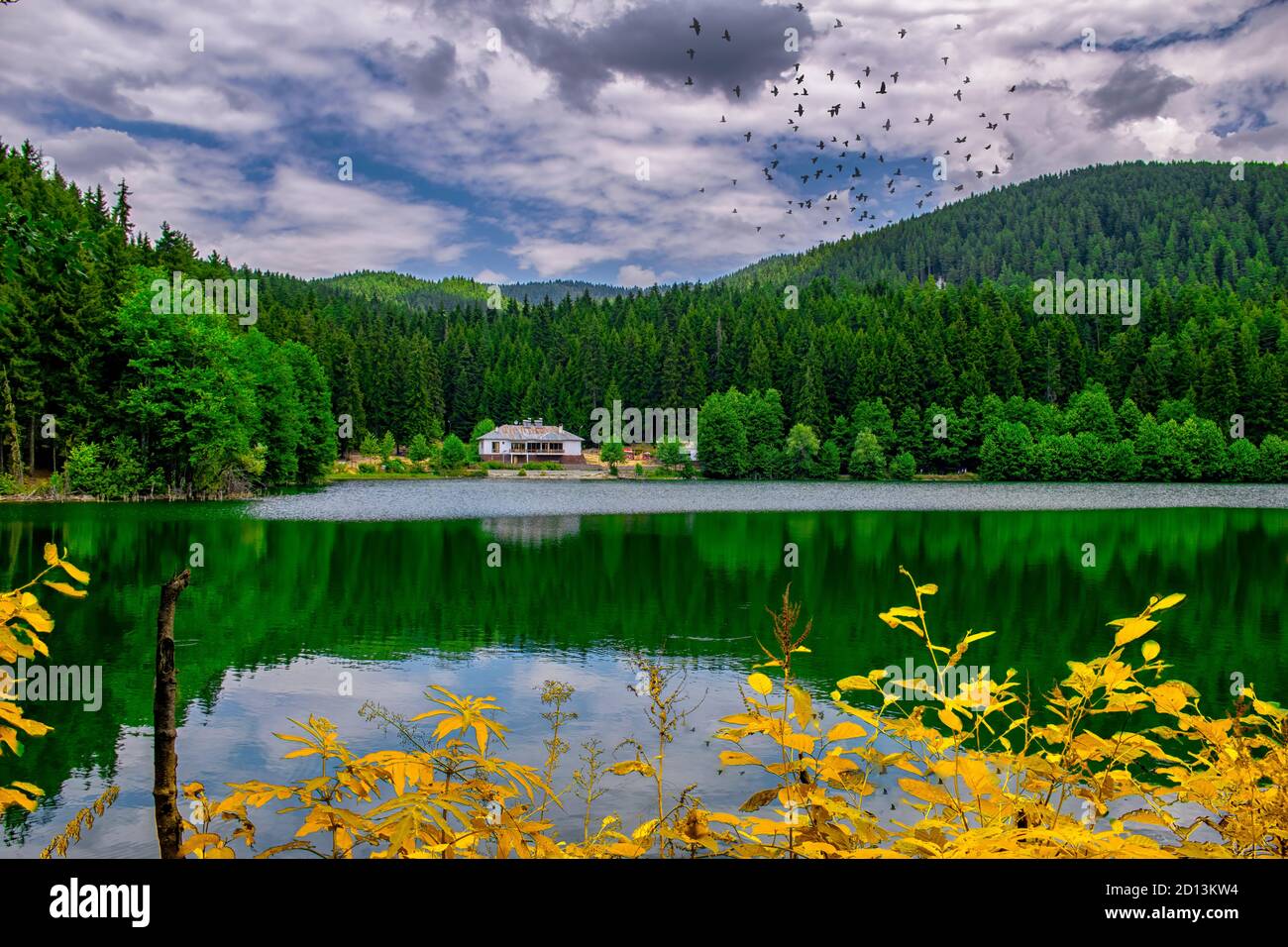 Landscape View Of Karagol Black Lake A Popular Destination For Tourists Locals Campers And Travelers In Eastern Black Sea Savsat Artvin Turkey Stock Photo Alamy