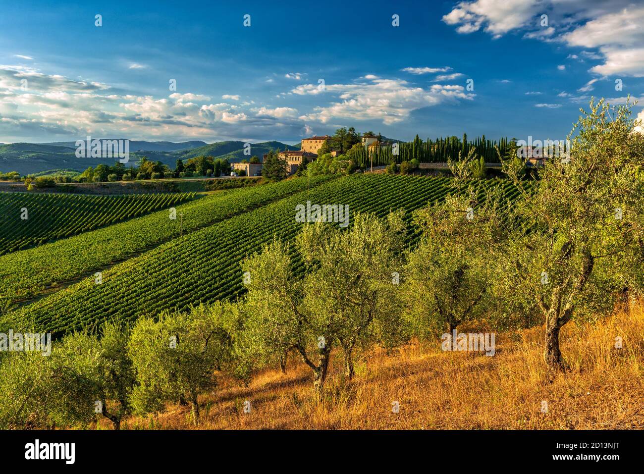 vineyards and olive groves framed the rocca di Castagnoli in the heart of Chianti landscape, Tuscany Stock Photo