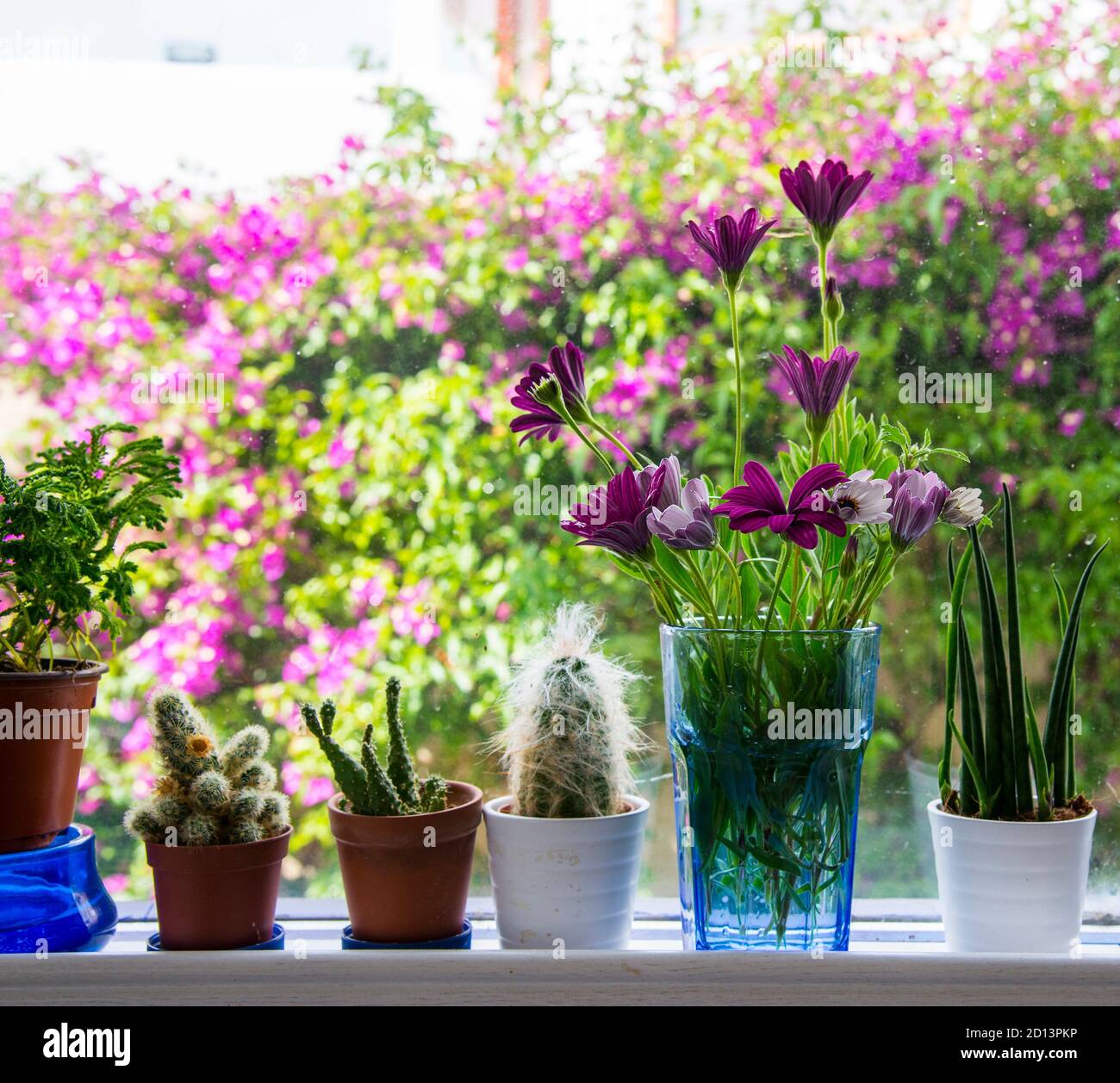 Beautiful flowers in a vase on a windowsill Stock Photo - Alamy