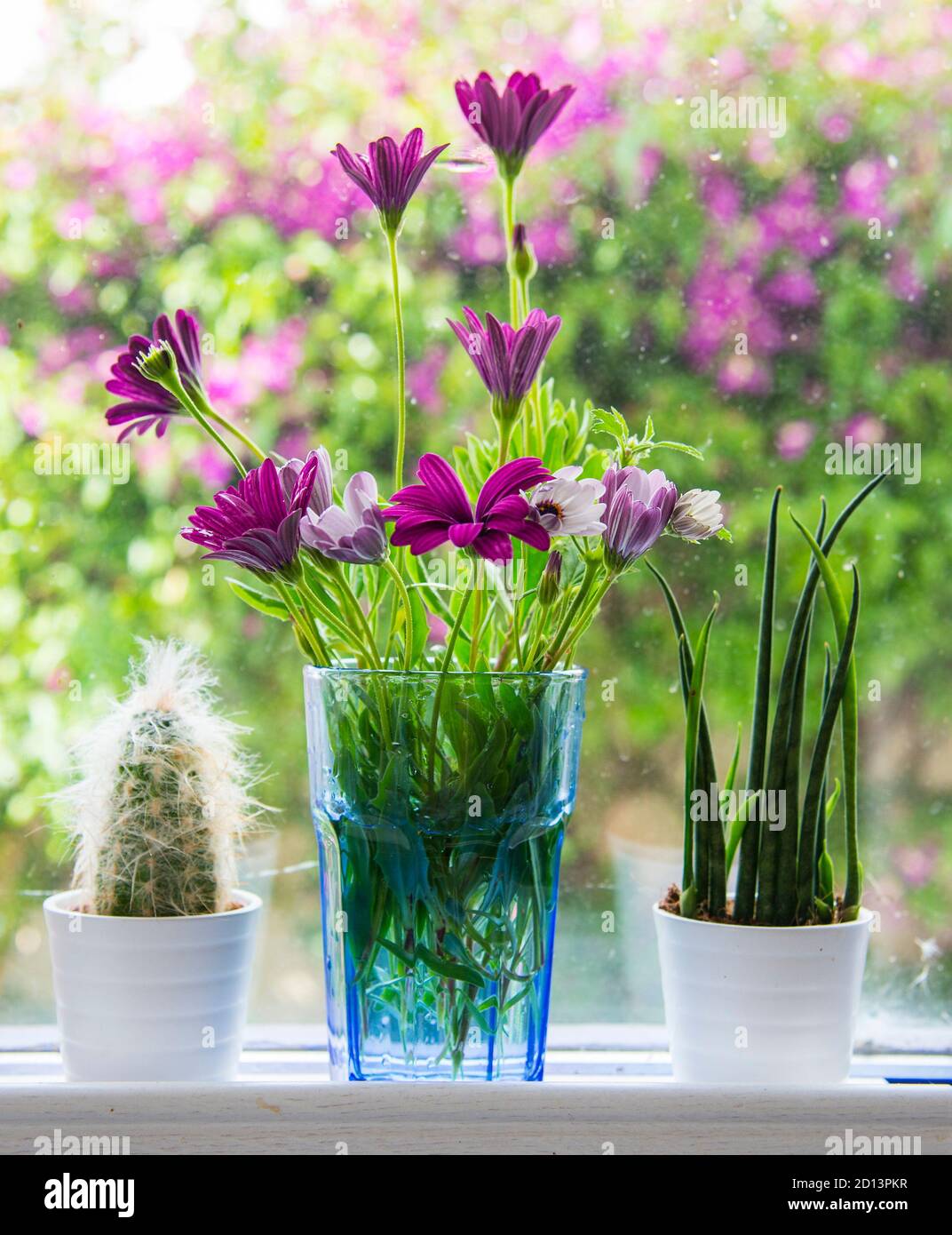 Beautiful flowers in a vase on a windowsill Stock Photo - Alamy