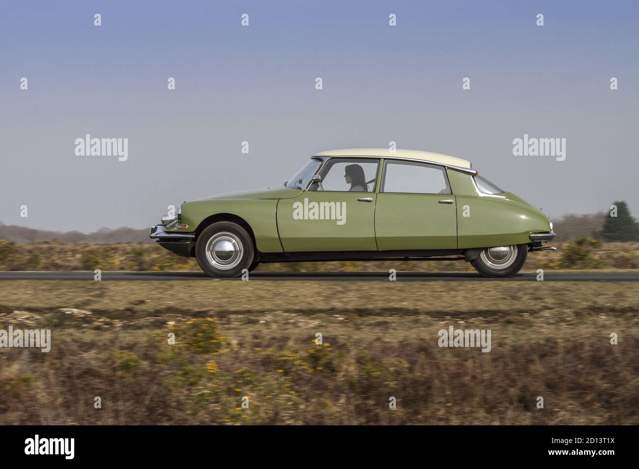 Citroen DS19, New Forest, UK, March 2015 Stock Photo