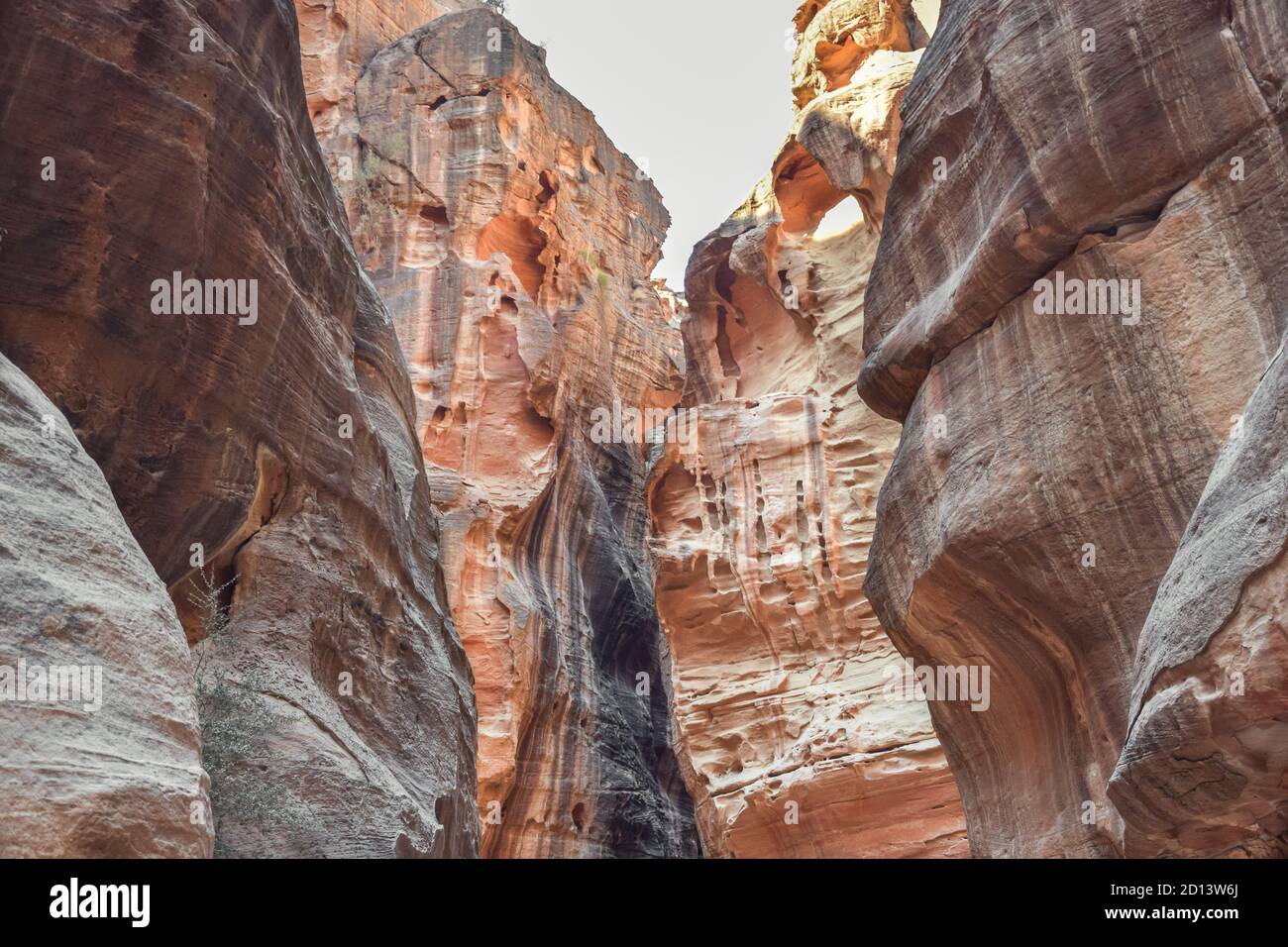 Sightseeing petra hi-res stock photography and images - Alamy