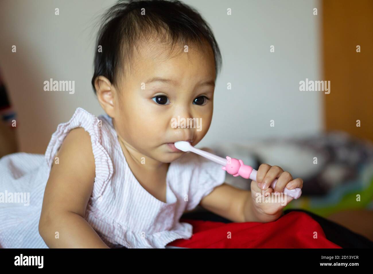 toothbrush for 11 month old baby