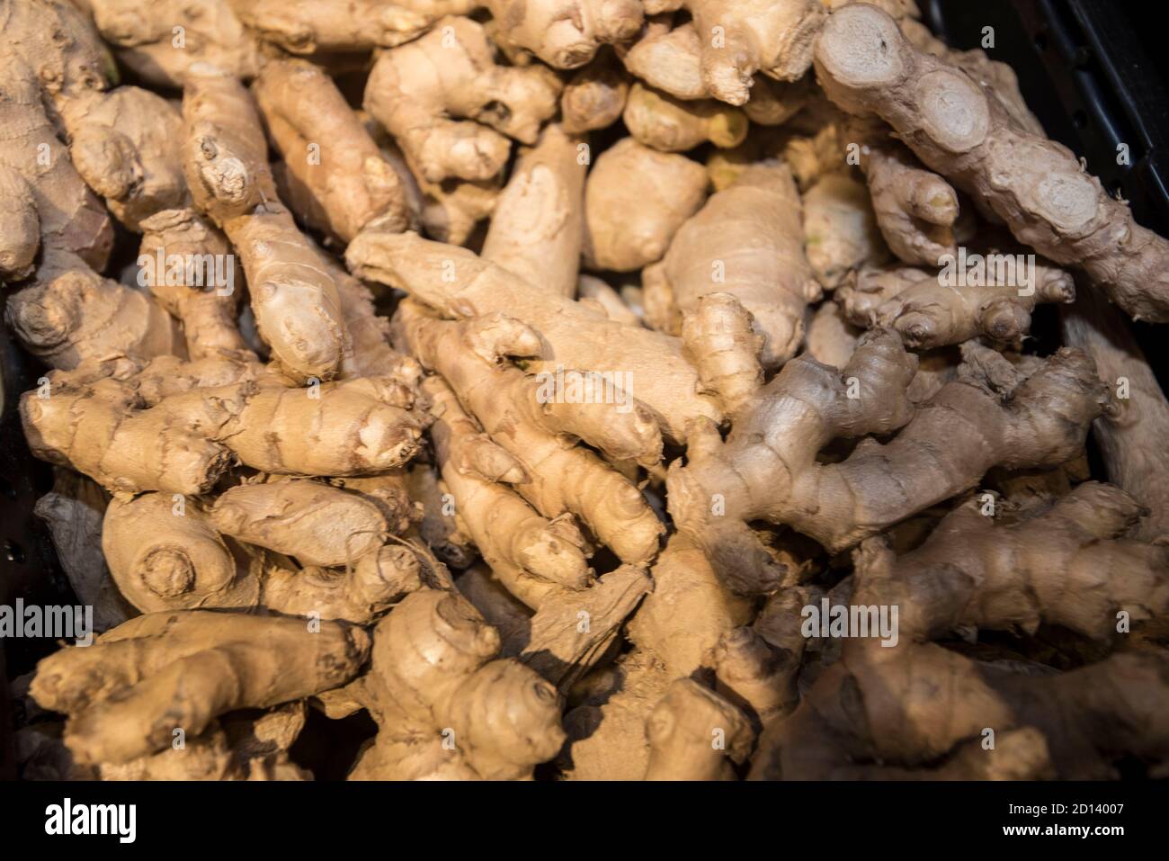 ginger or ginger root, a spice used for cooking and as medicine Stock
