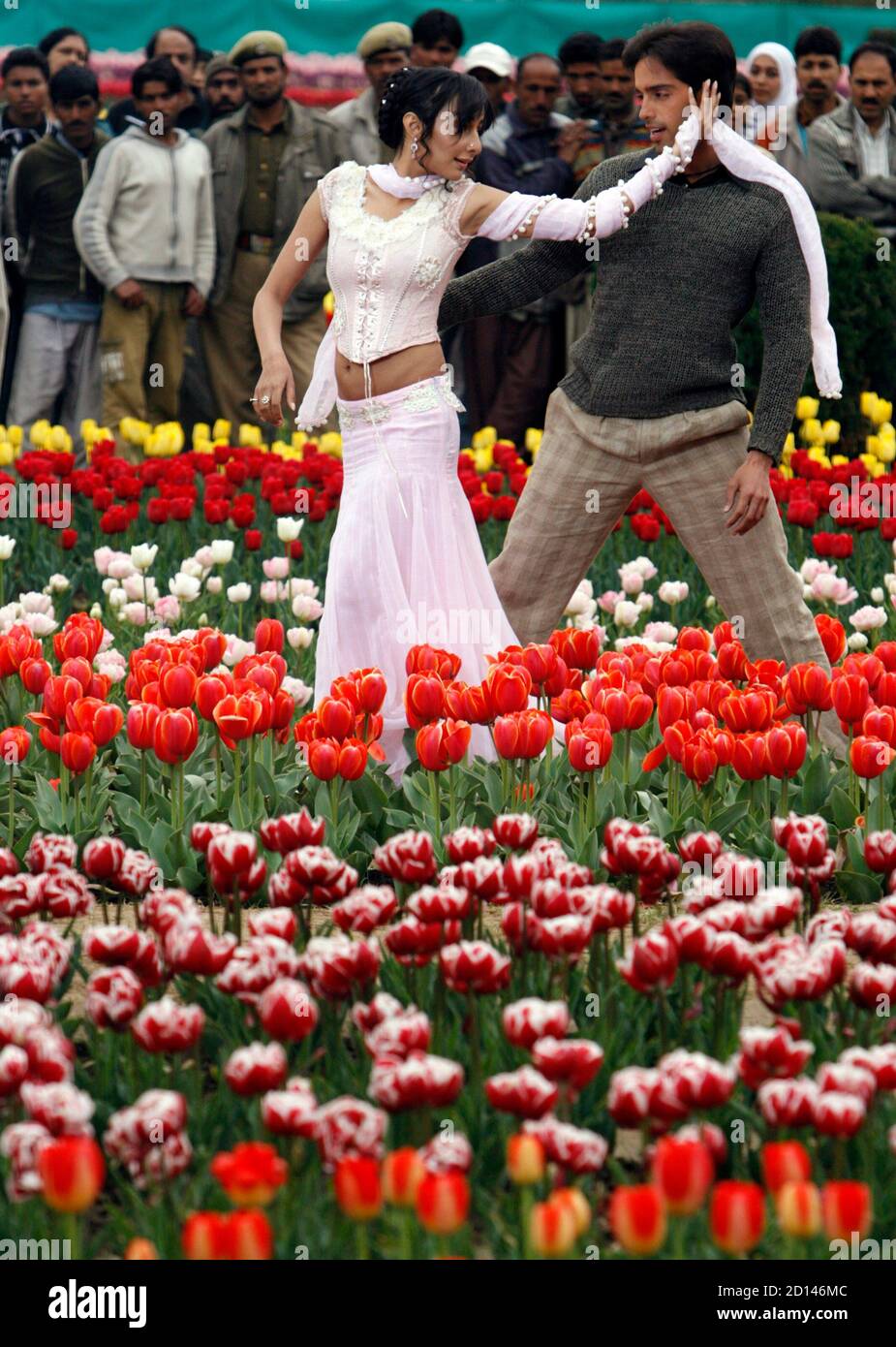 page 2 tulip garden in kashmir high resolution stock photography and images alamy