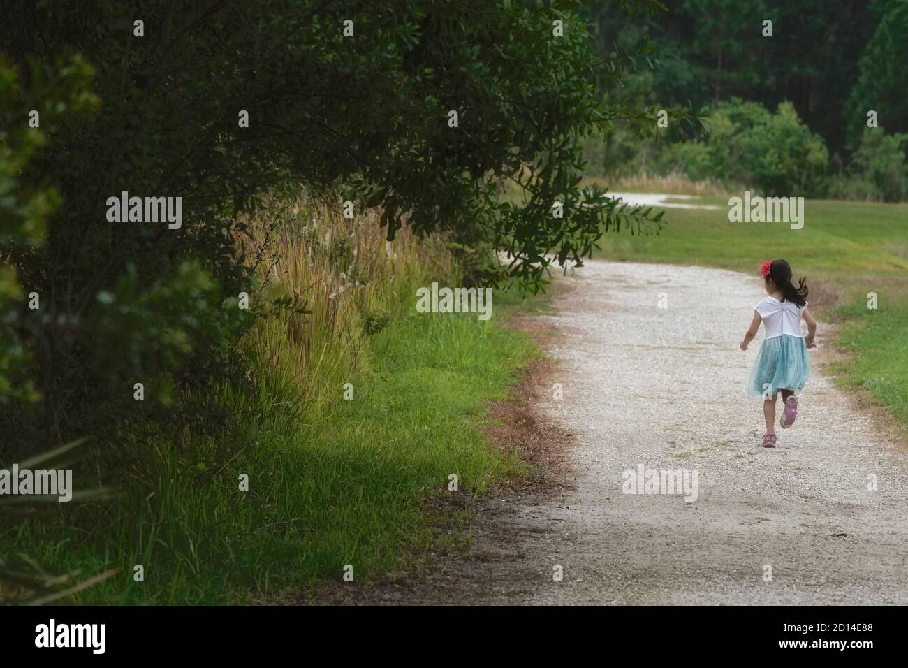Five year old girl running on a trail. Stock Photo