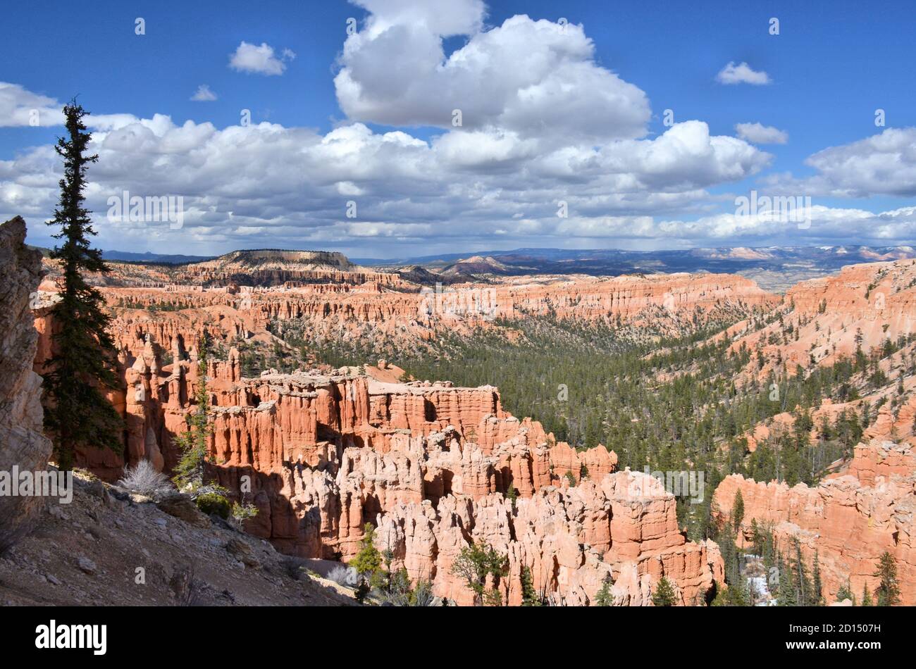 Dramatic cumulus clouds billow over a wooded valley framed by surrealistic landforms at Bryce Canyon National Park Stock Photo