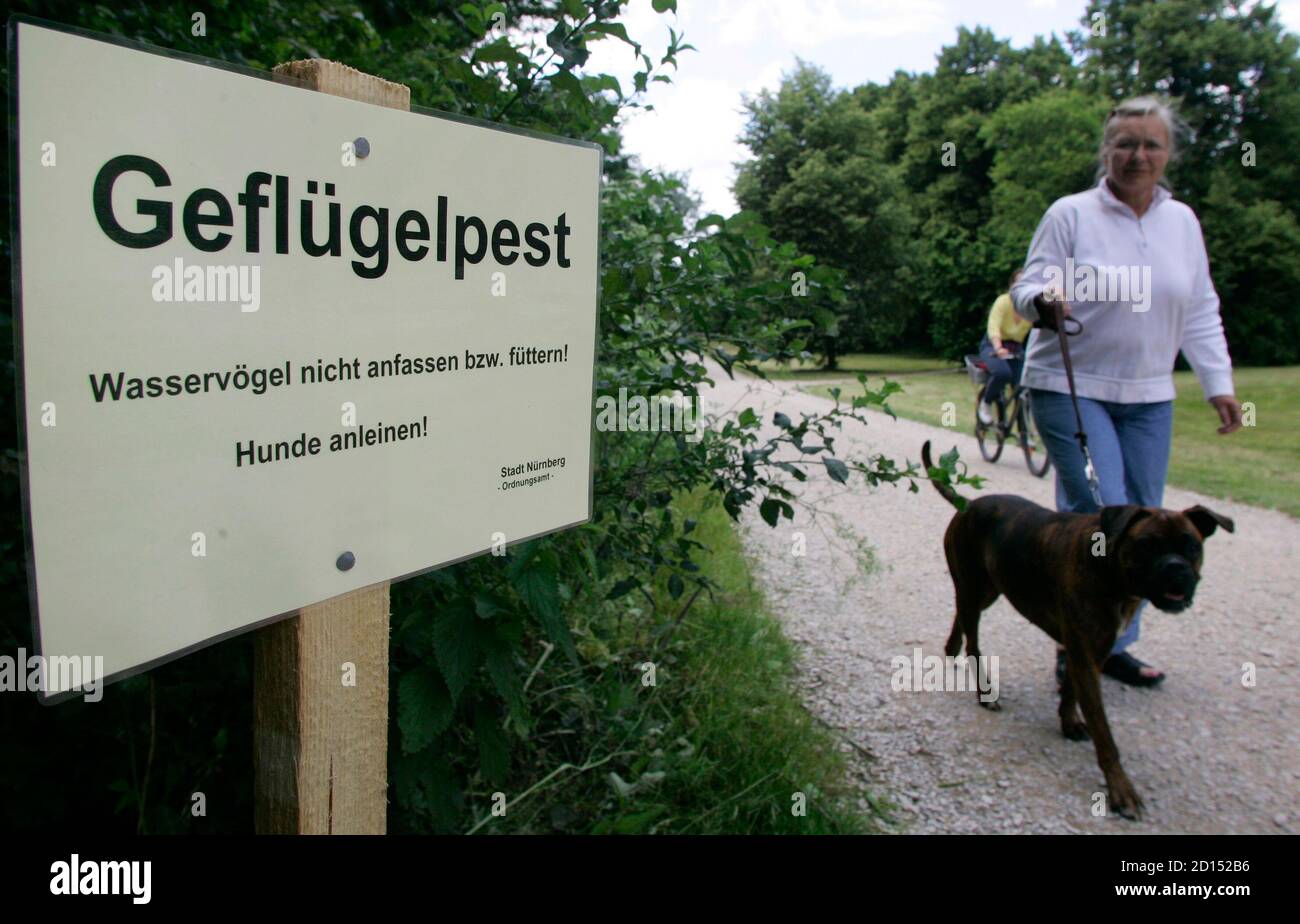 A woman with her dog take a walk next to a sign reading 'Avian influenza,  don't touch water birds and feed them, leash dogs!' at the lake Woehrder in  Nuremberg June 24,