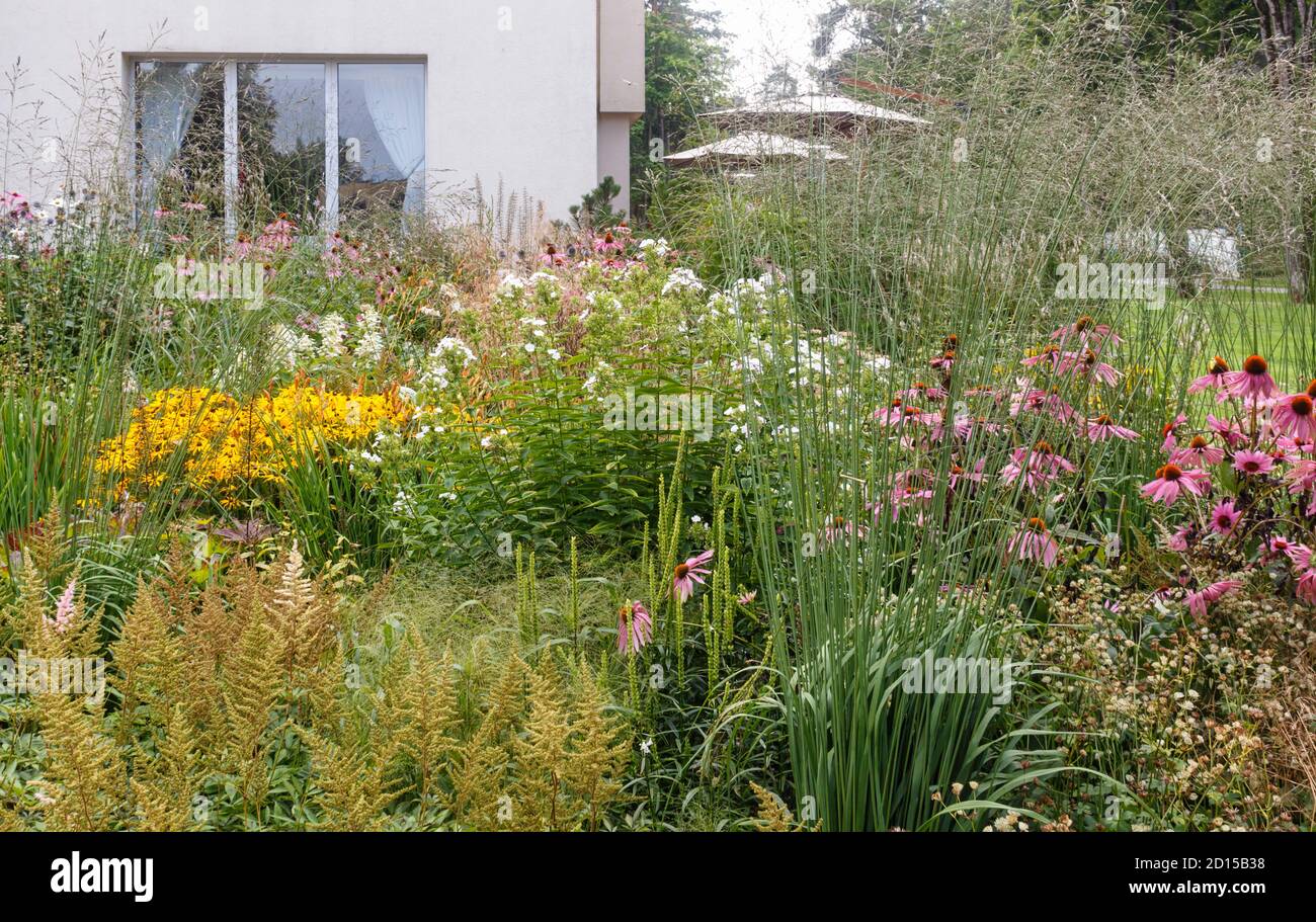 complex flower bed of perennial plants in the city park. Druskininkai ...