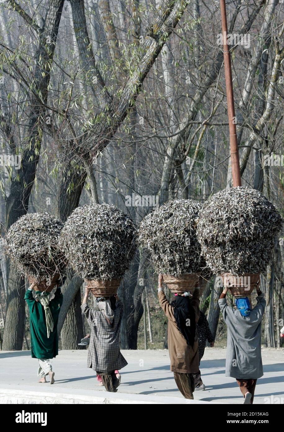 Kashmiri Villagers Carry Baskets Full Of Leaves For Use As Fuel For Their Cooking Fires At Home In Gandarbal About 22 Km 17 Miles East Of Srinagar November 21 08 Reuters Danish Ismail