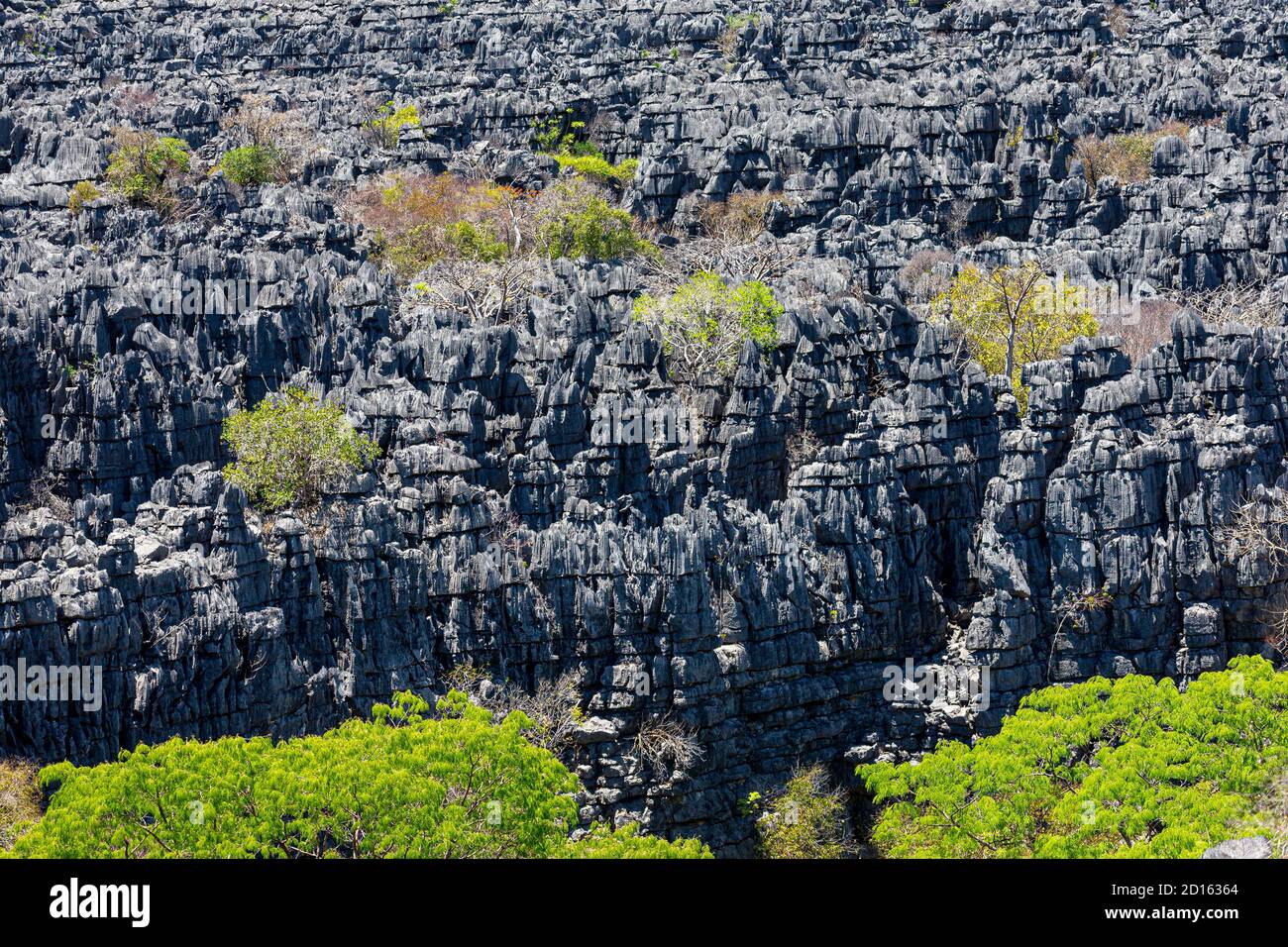 Madagascar, the North, Diego-Suarez province (Antsiranana), Diana region, Ankarana National Park, the Tsingys, Karst formations Stock Photo