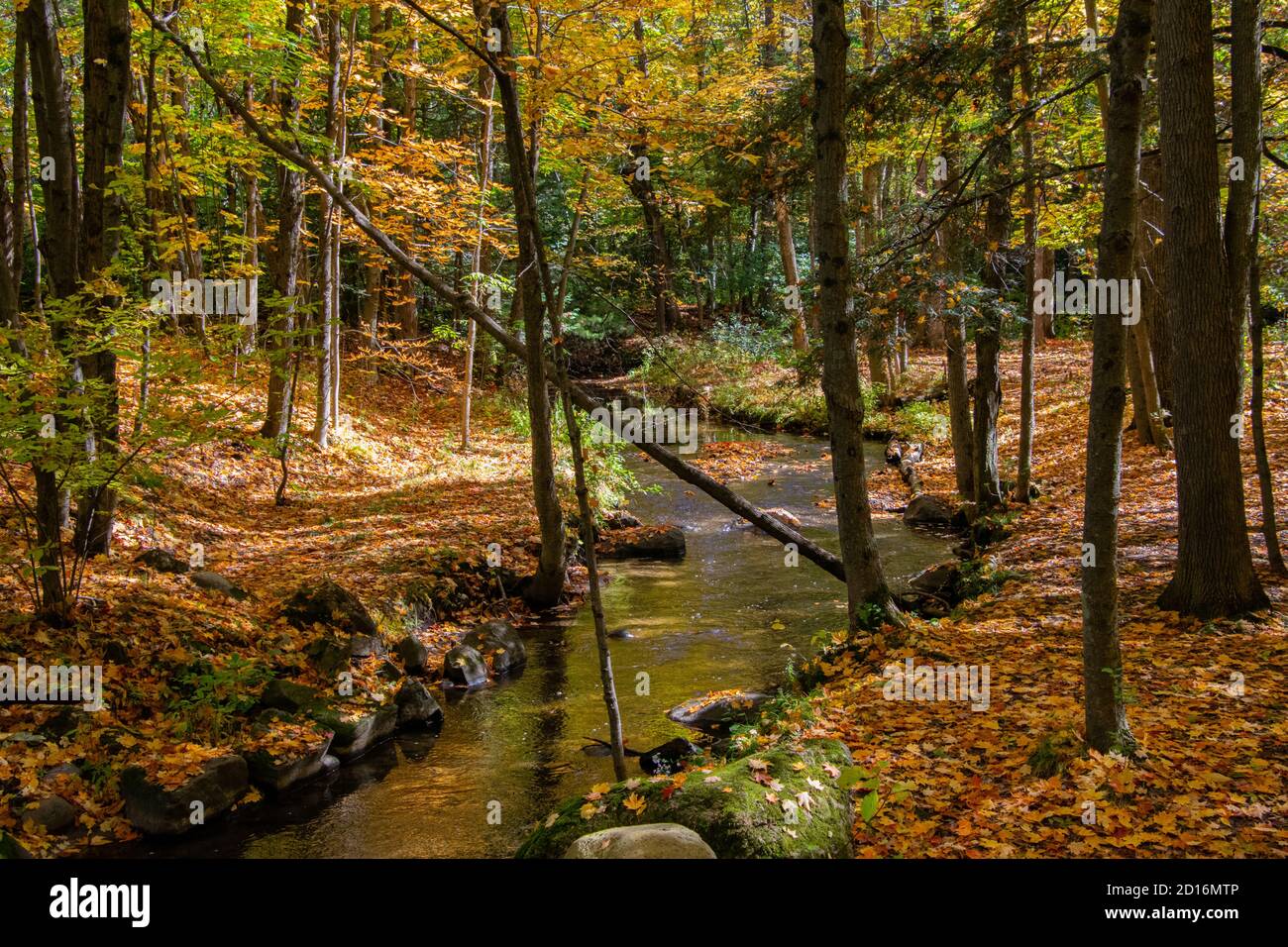A meandering stream in Hudson, Quebec. Stock Photo