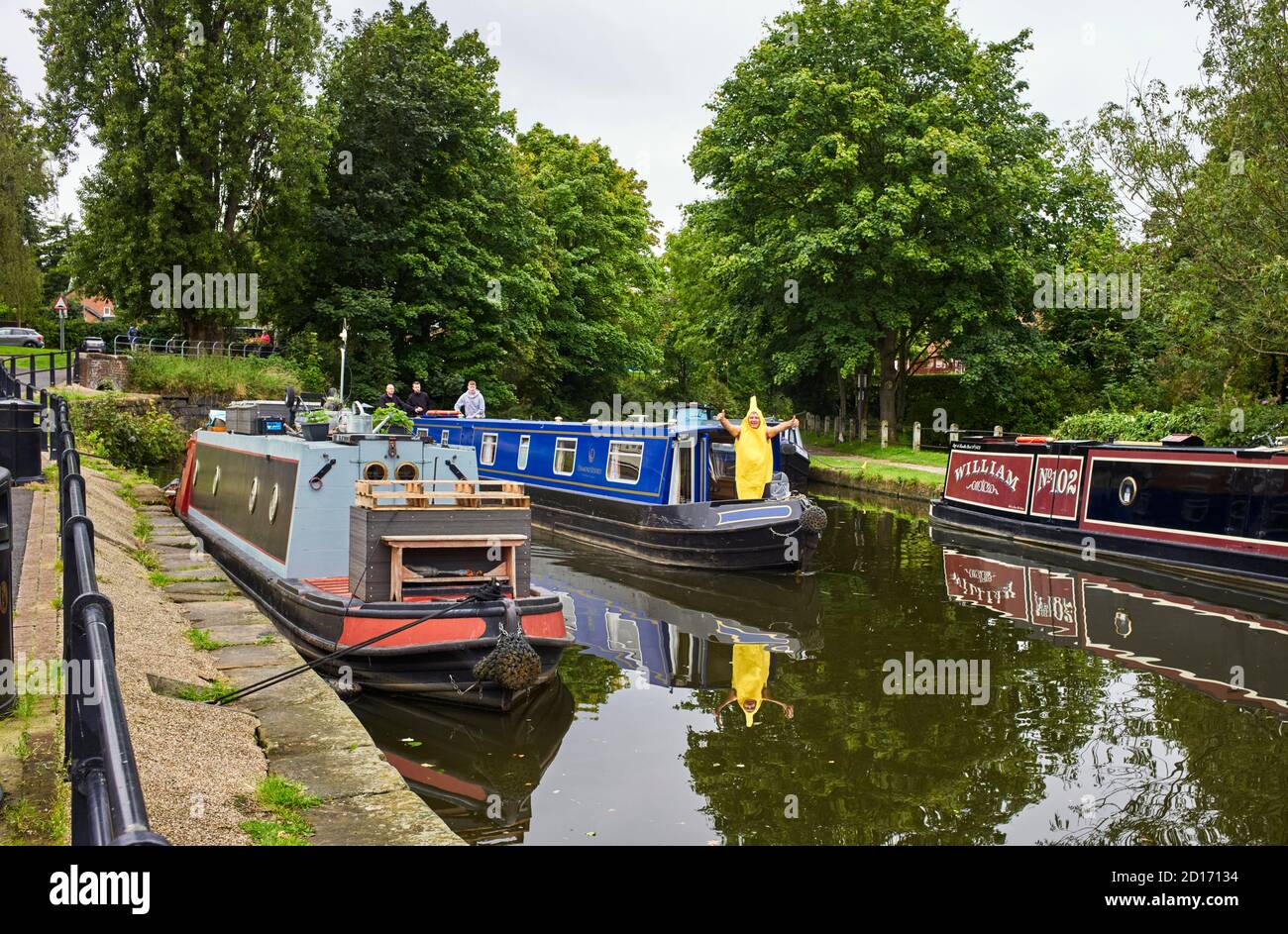 Man dressed as a banana on front of a narrowboat as it come in to moor up at Lymm in Cheshire Stock Photo