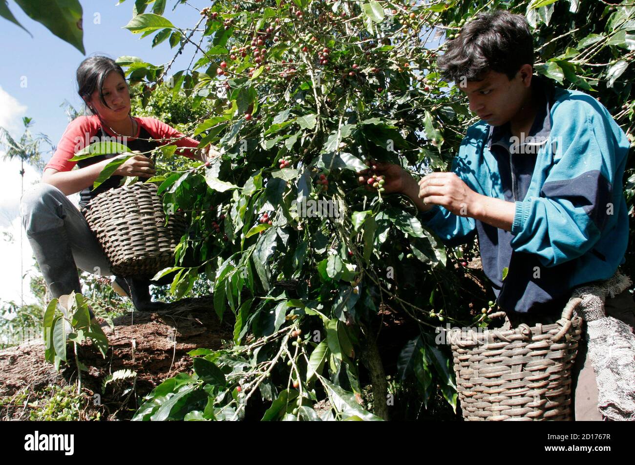 Chanchamayo peru hires stock photography and images Alamy