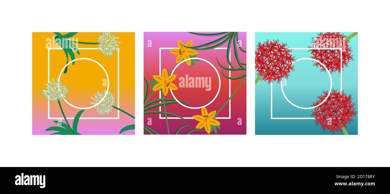 Floral square backgrounds vector set Stock Vector