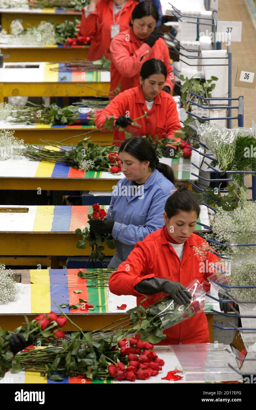 Valentine in colombia hires stock photography and images Alamy